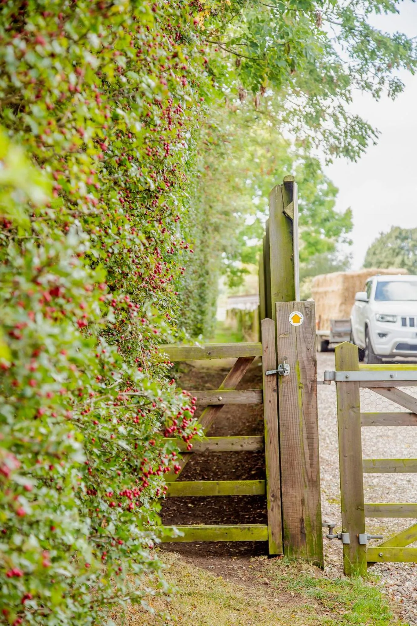 Hiking in SmallBrook Cottage