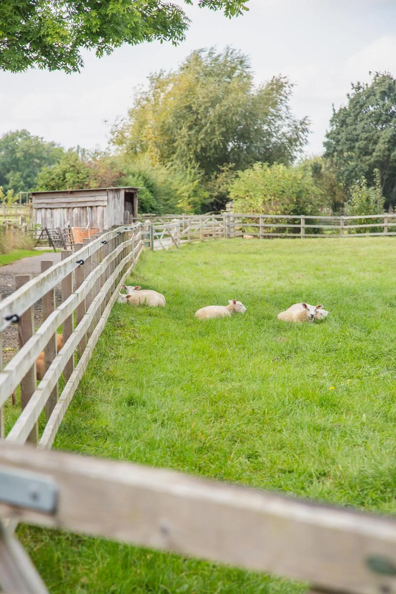 View (from property/room) in SmallBrook Cottage