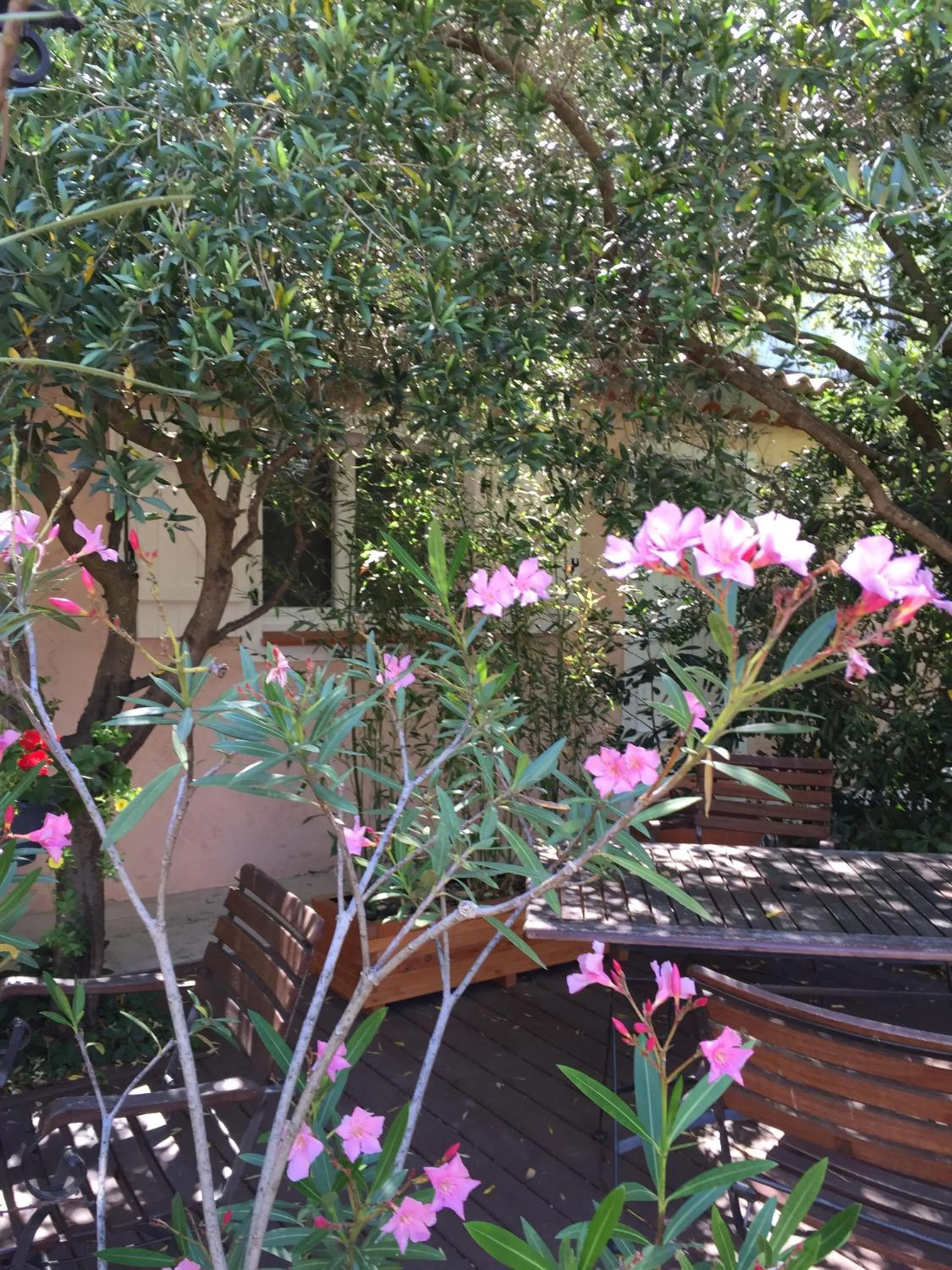 Garden in Hôtel & Spa La Villa