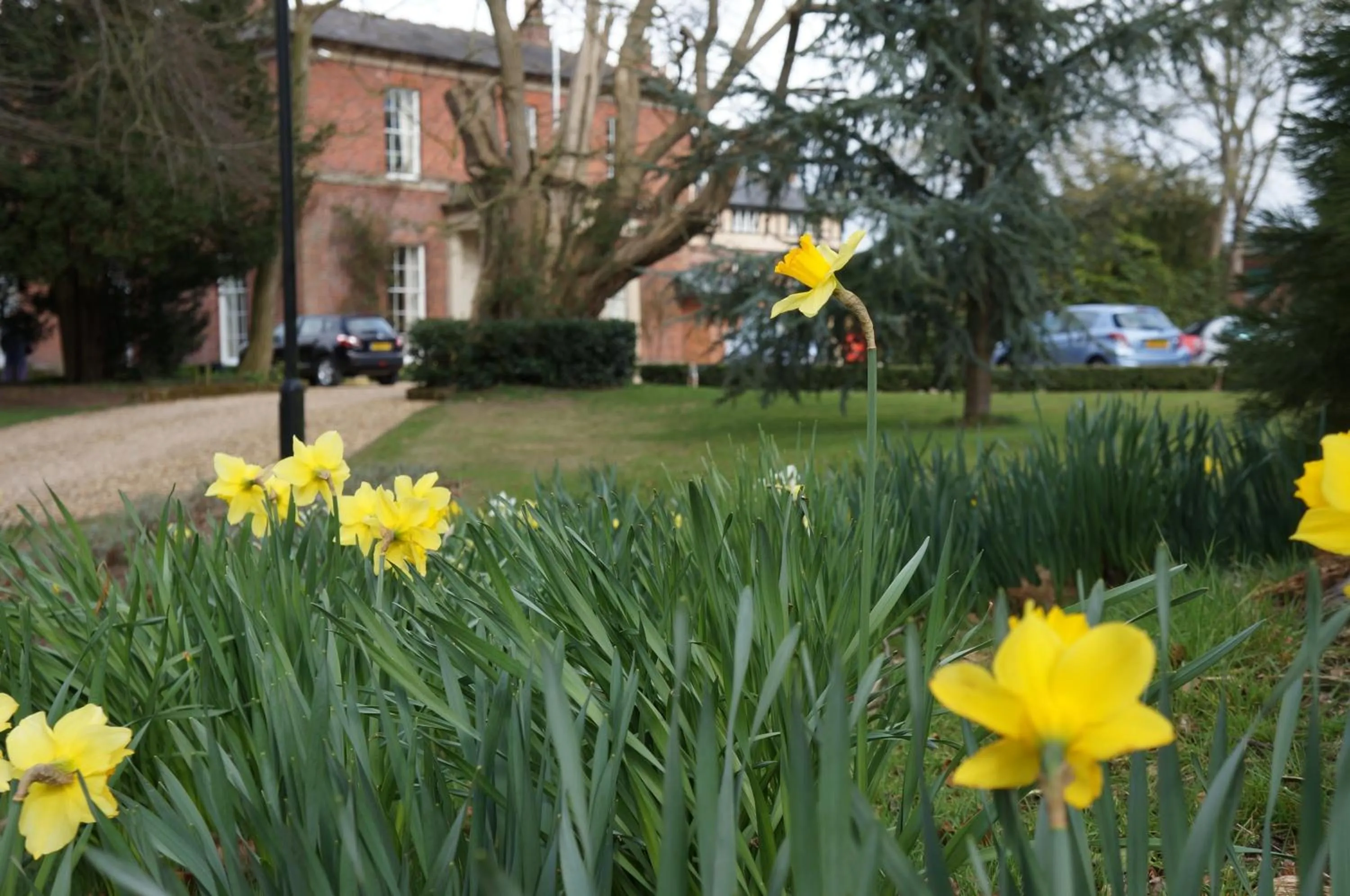 Garden in Old Rectory