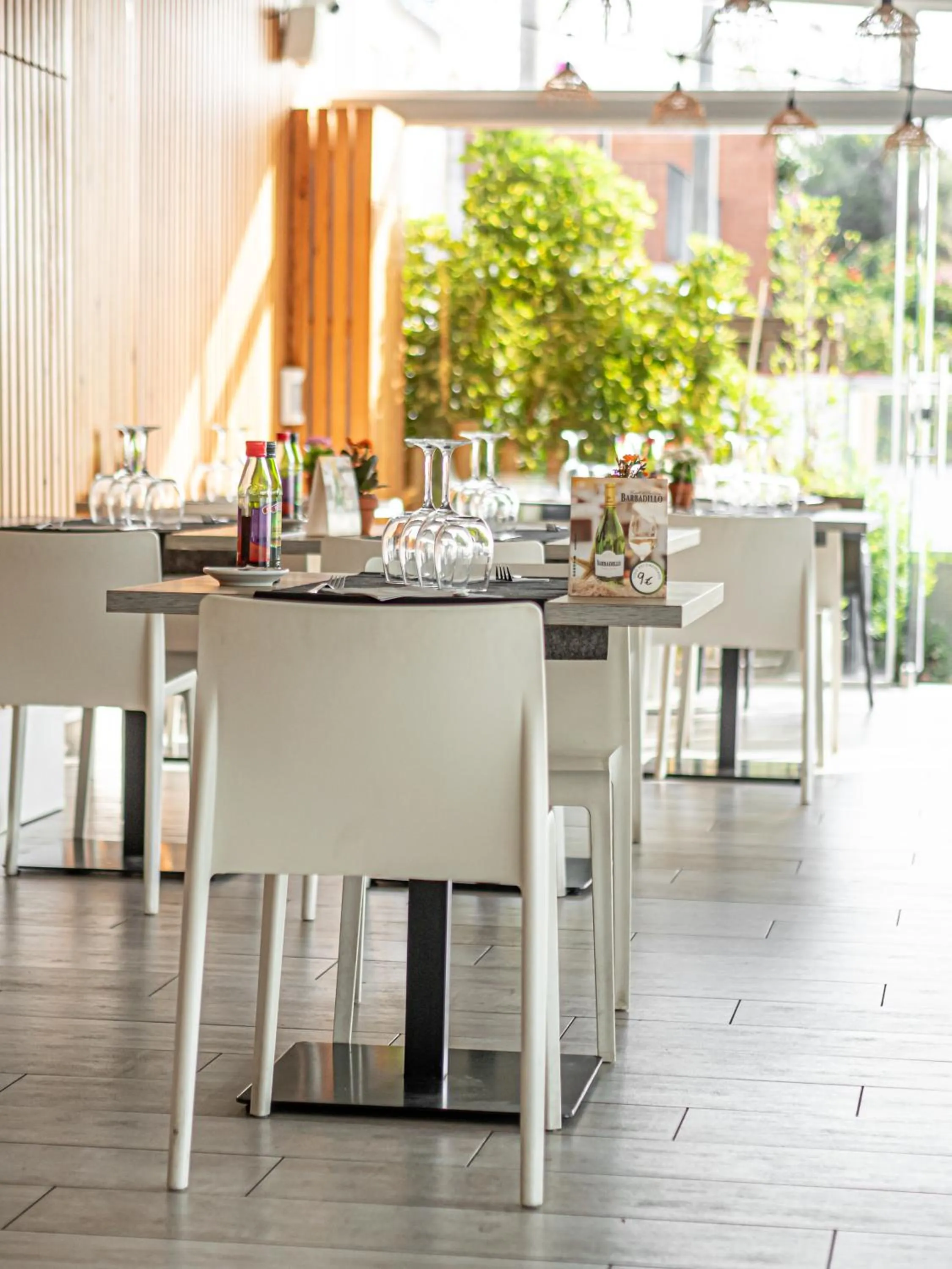 Lounge or bar in Aparthotel Solifemar