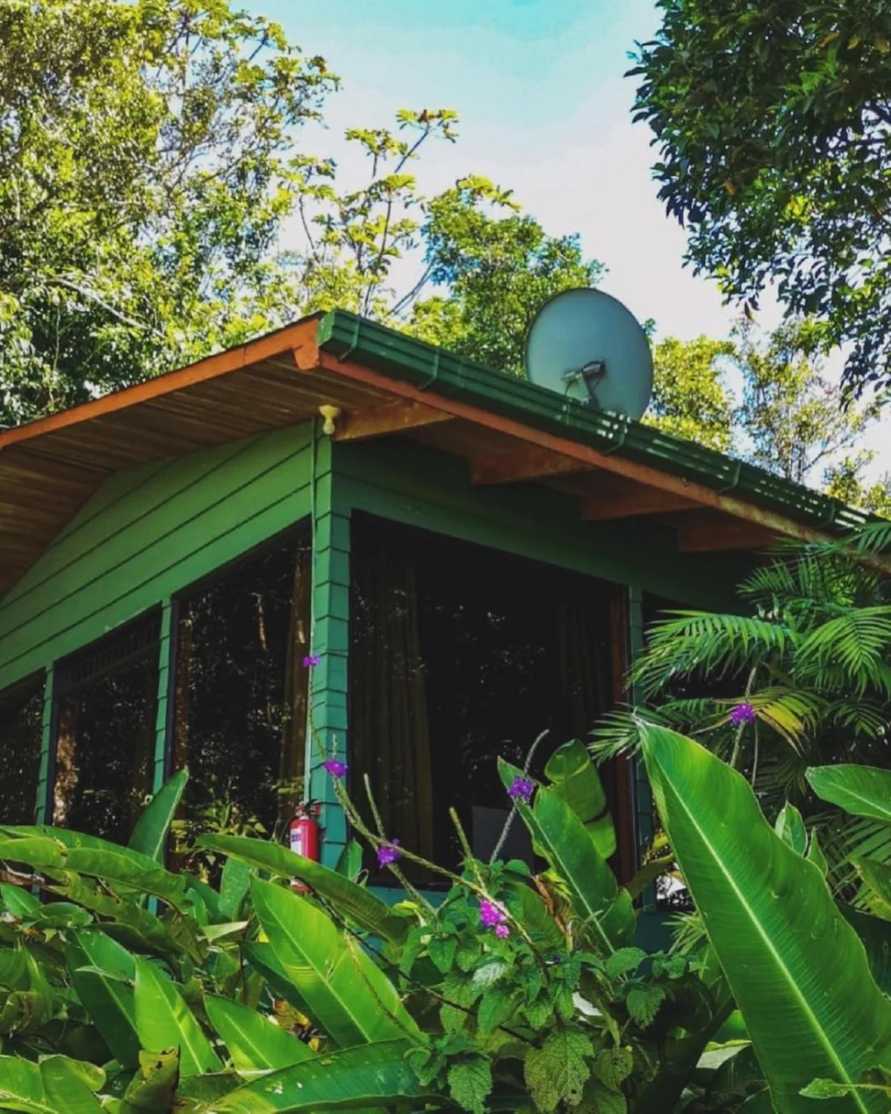 Other in Hotel Flor de Bromelia