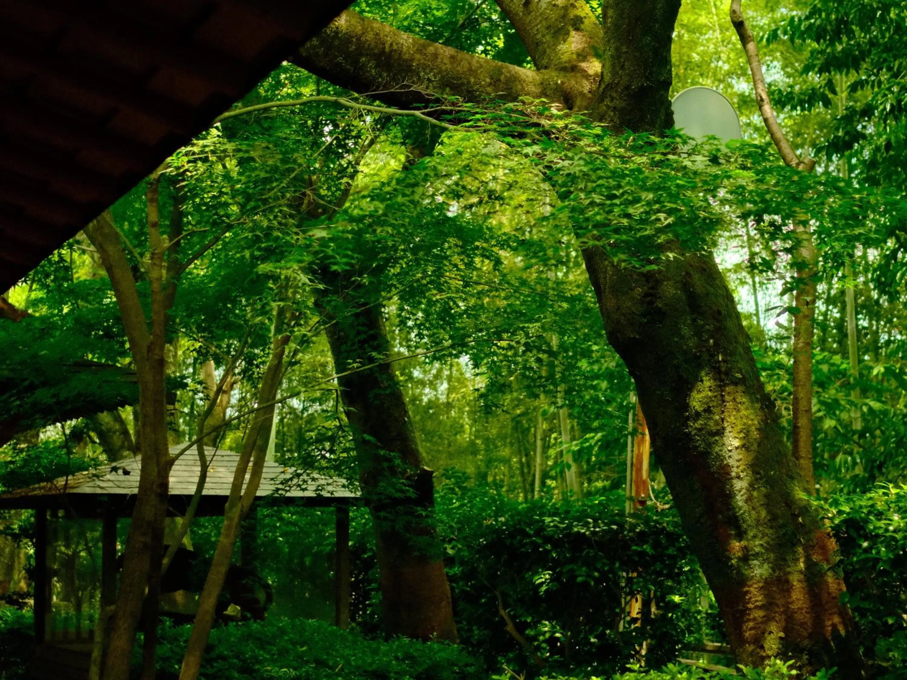 Day in Oukai Villa Izumi