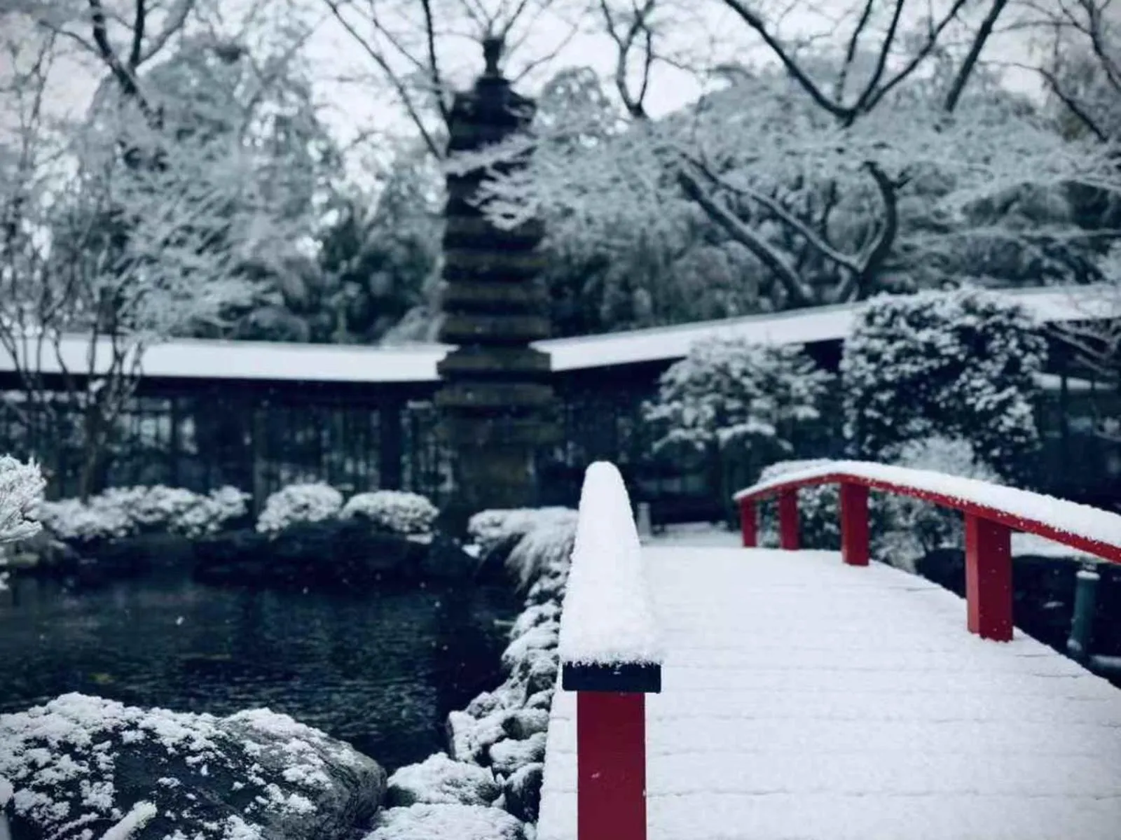 Garden view in Oukai Villa Izumi