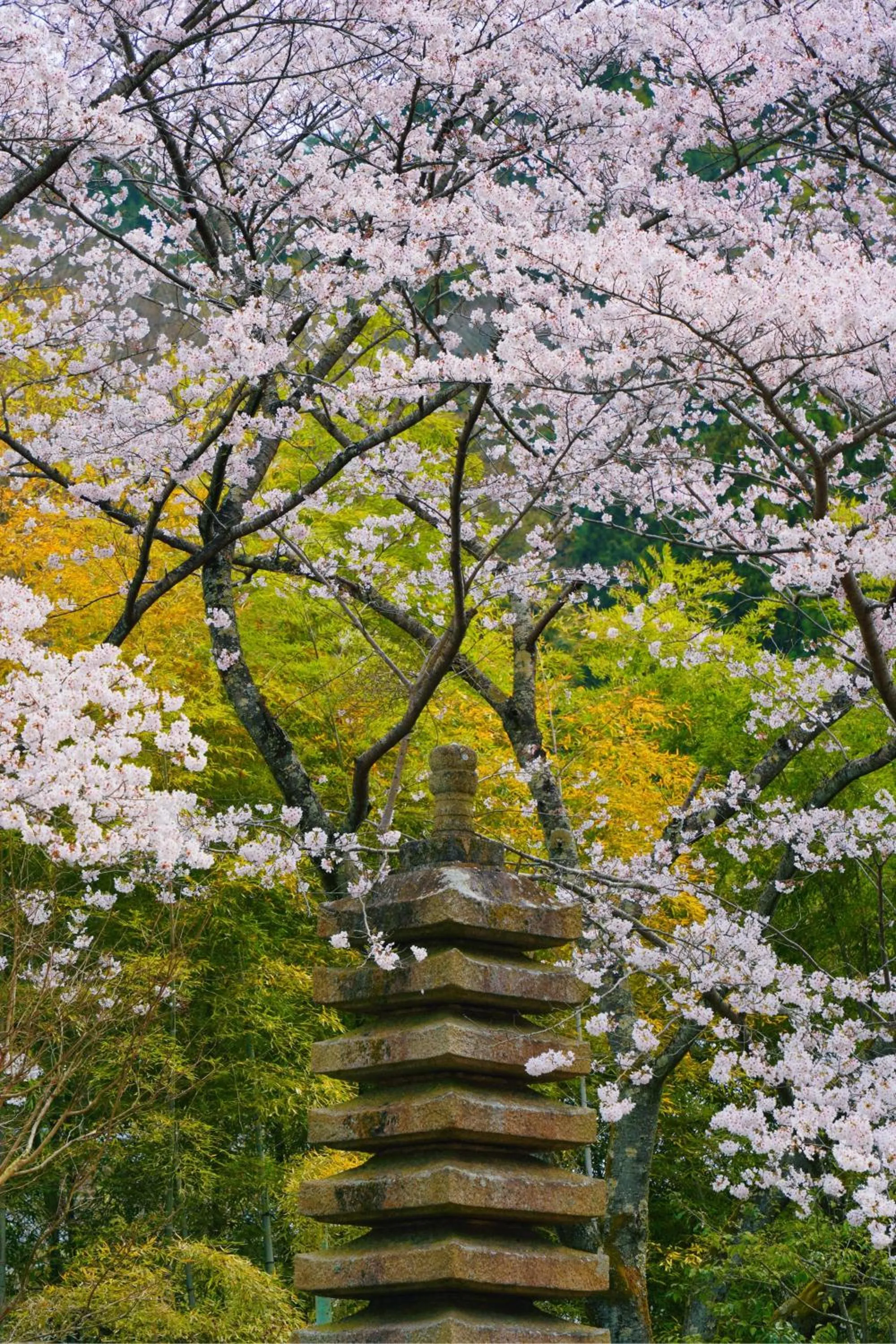 Spring in Oukai Villa Izumi