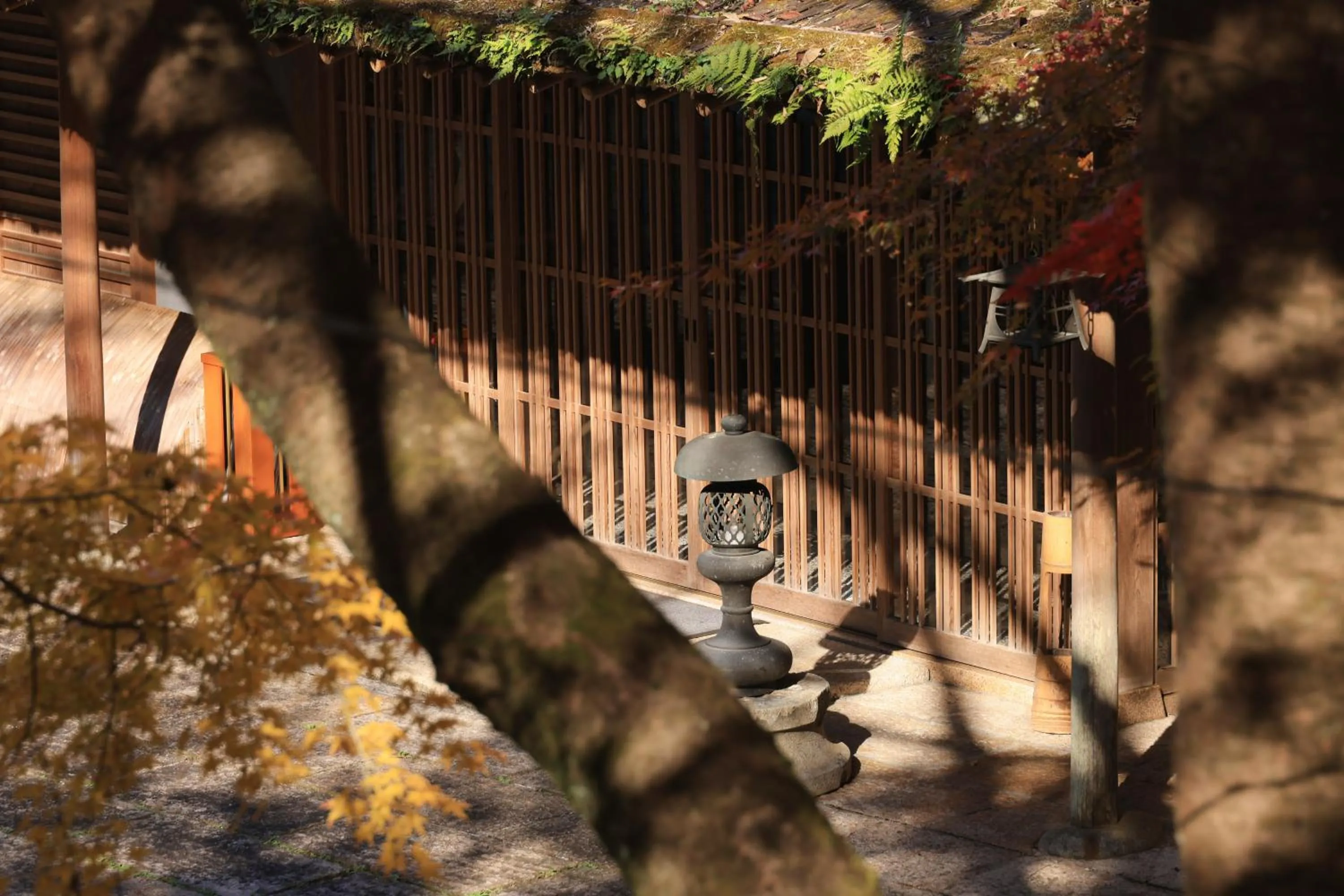 Day in Oukai Villa Izumi