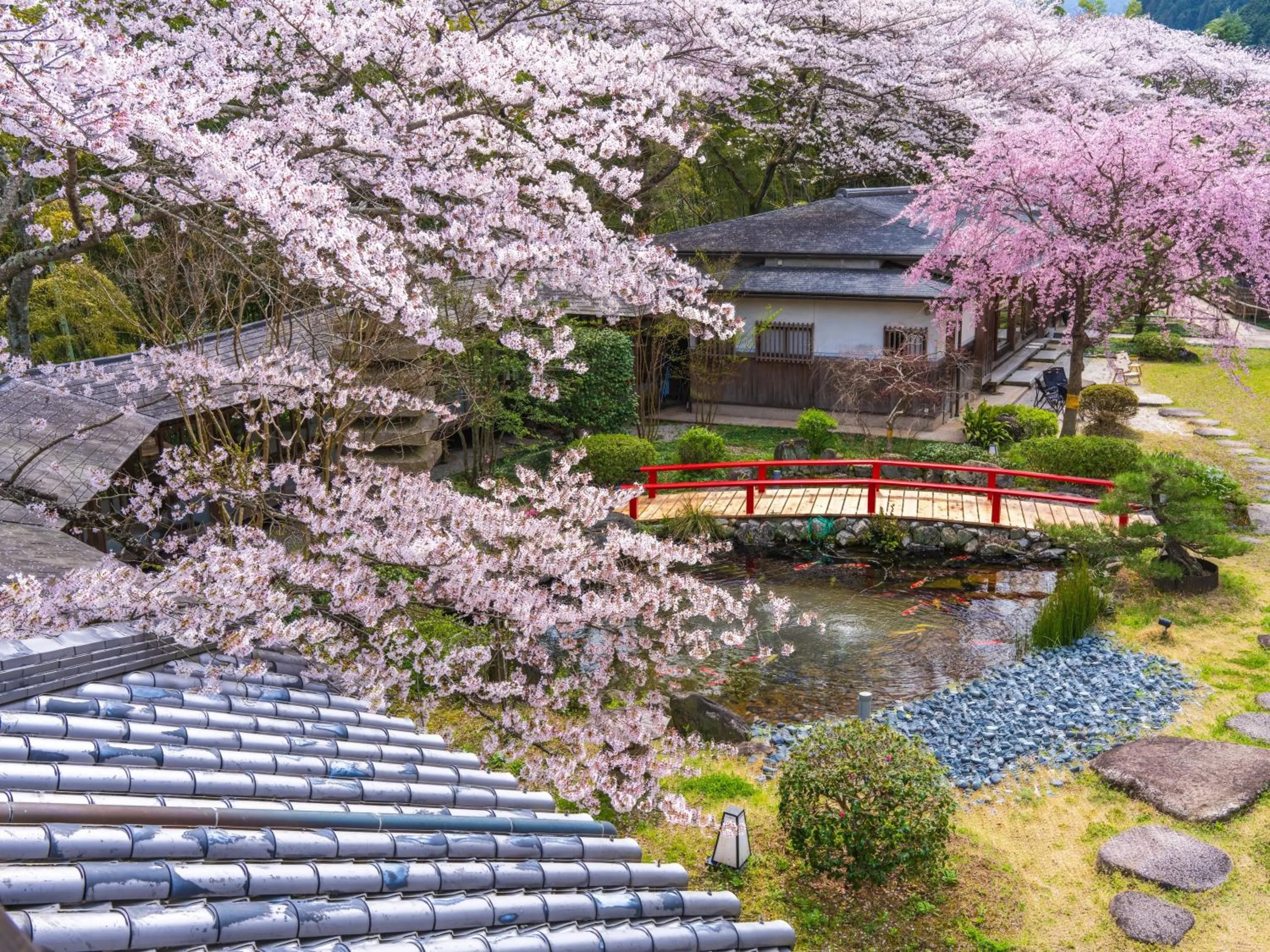 Spring in Oukai Villa Izumi