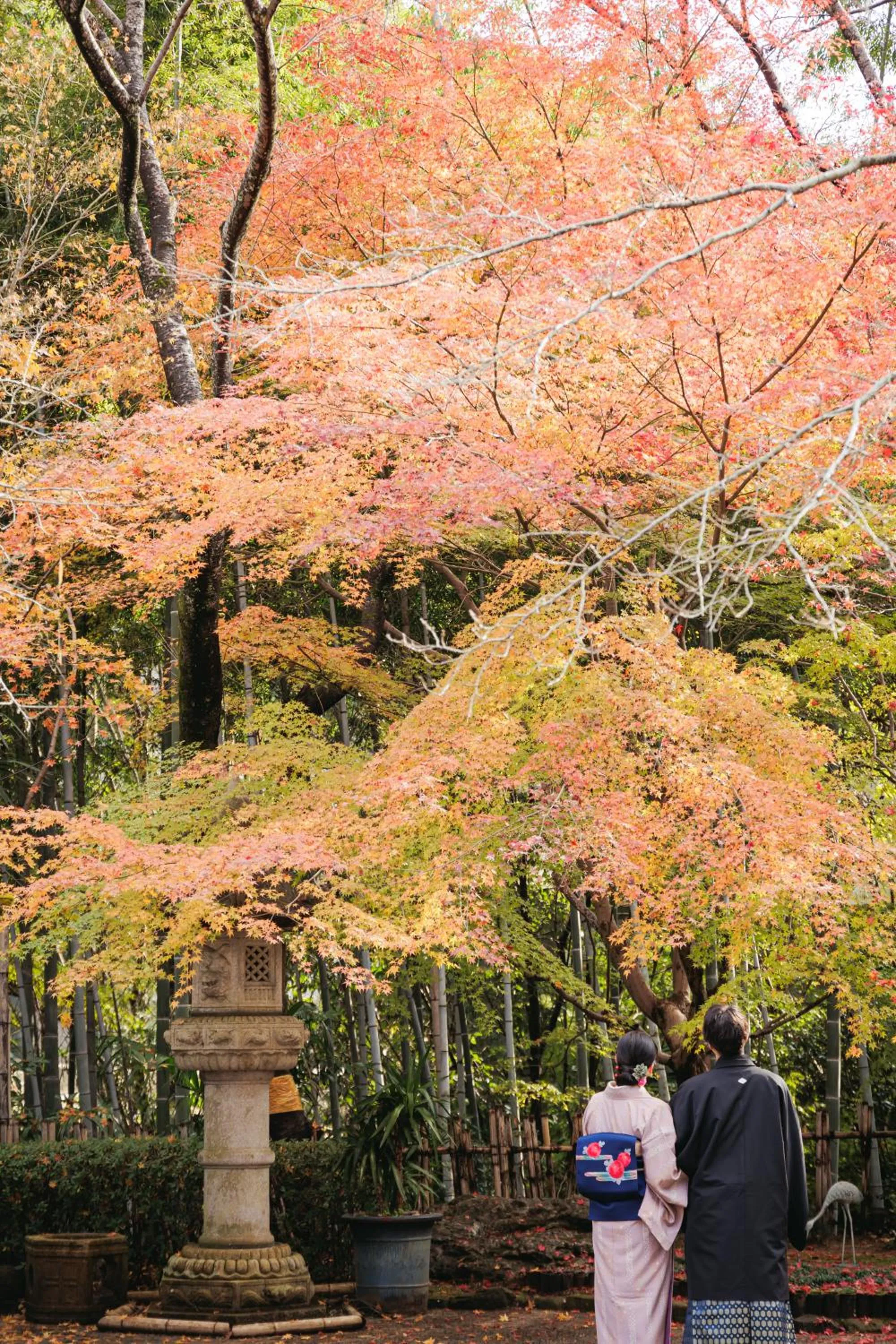 Garden in Oukai Villa Izumi