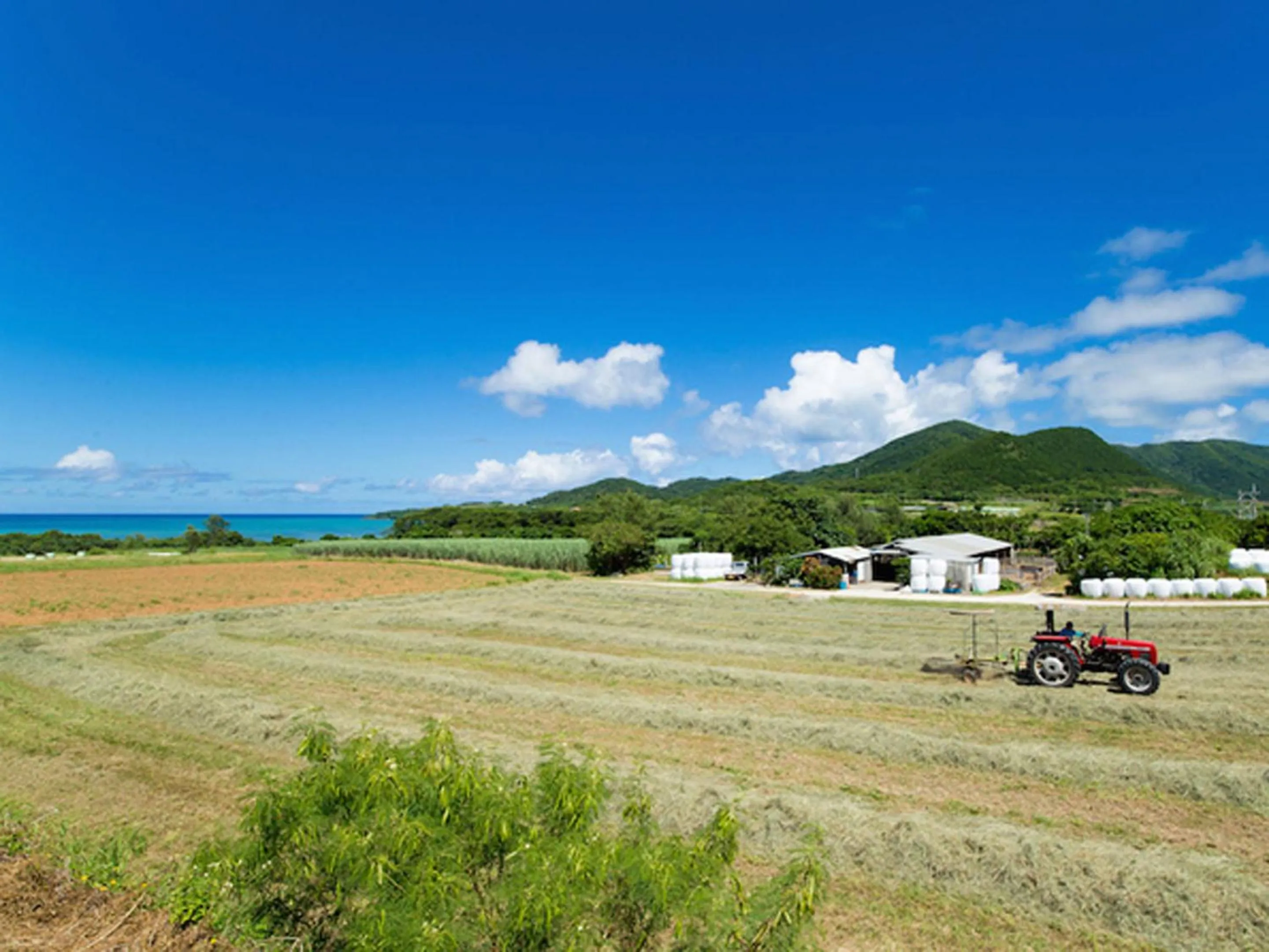 Off site in Sun Green Resort Hotel Ishigaki