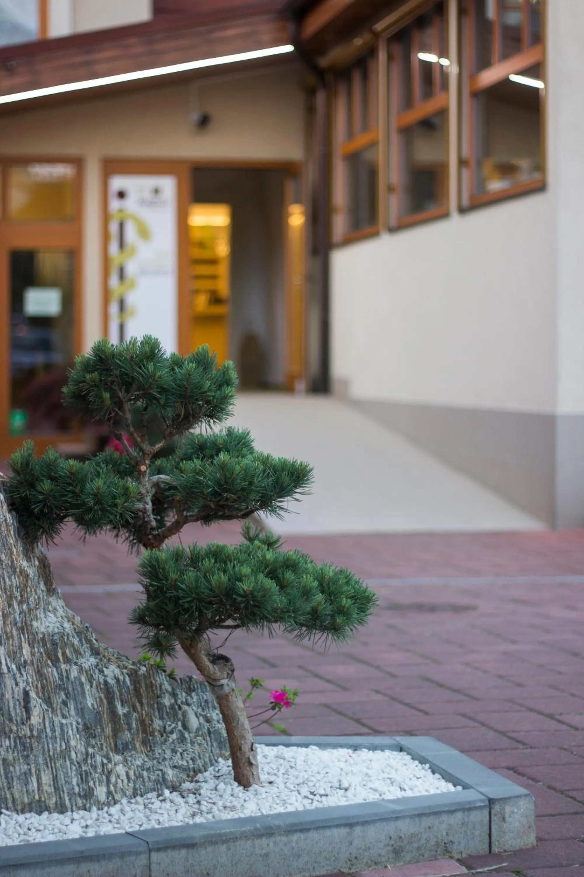 Garden in Hotel MAGISTR Vsetín