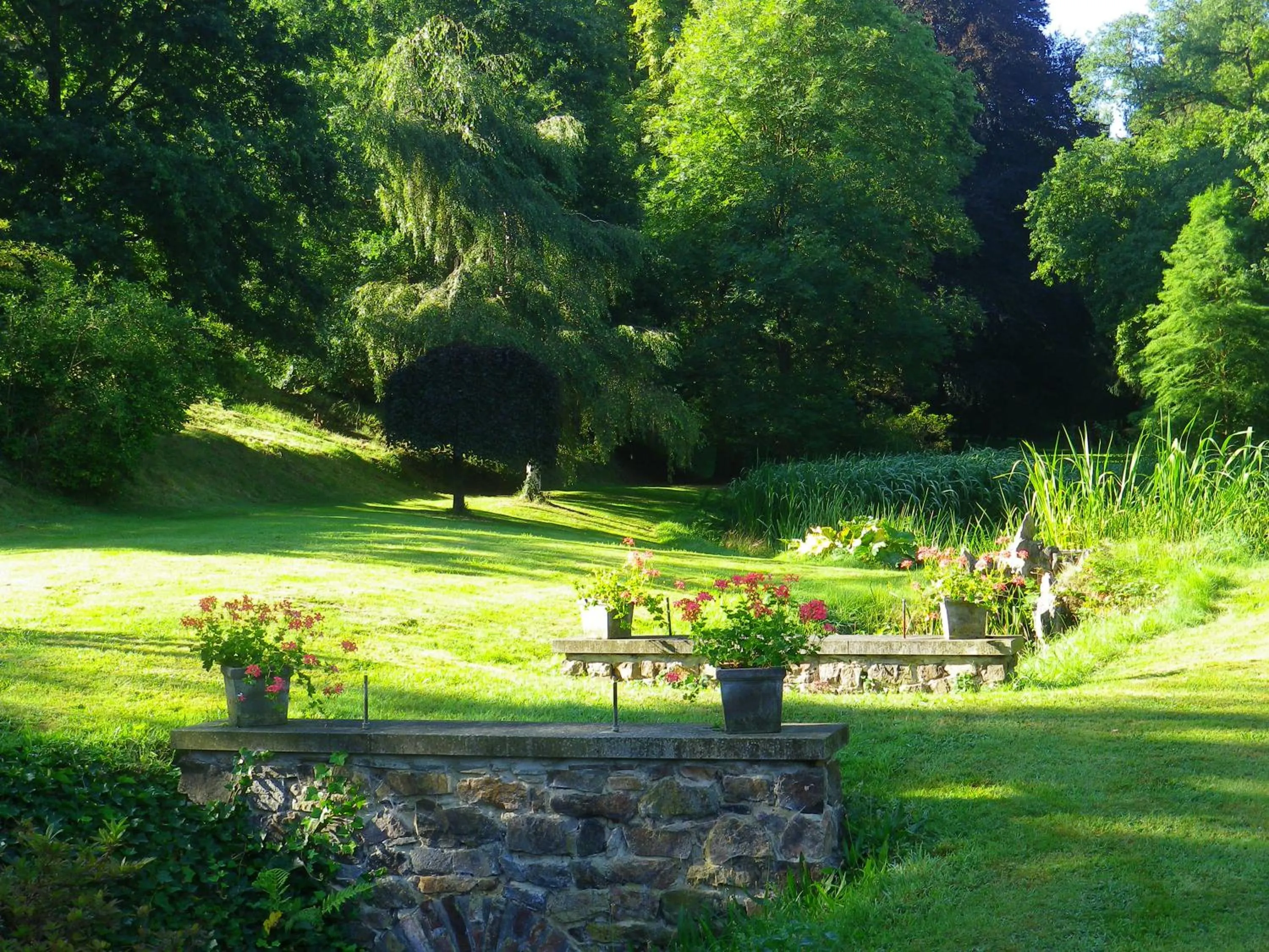 Garden in Château de Bonne Espérance