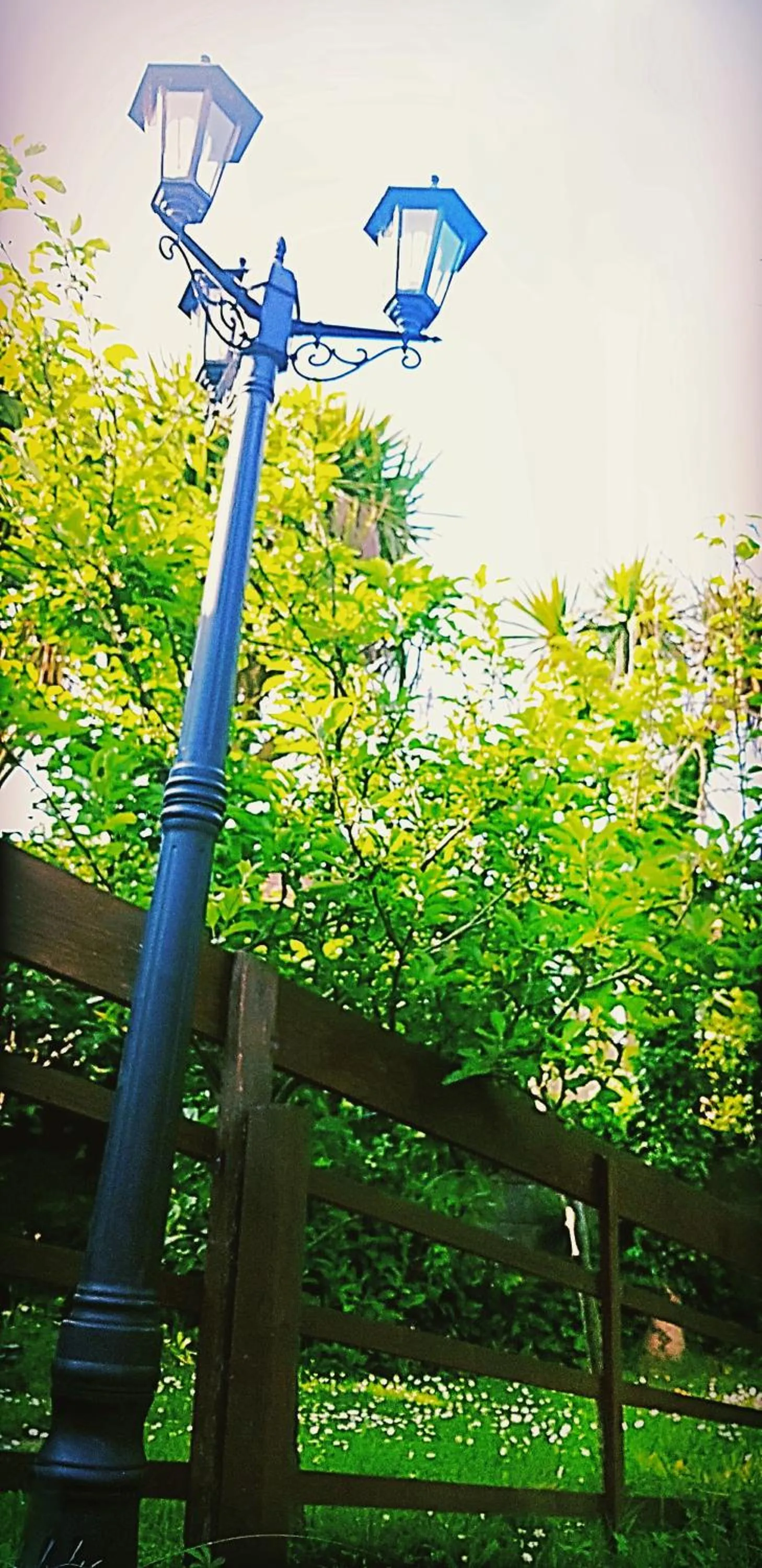 Decorative detail in Palm Cottage