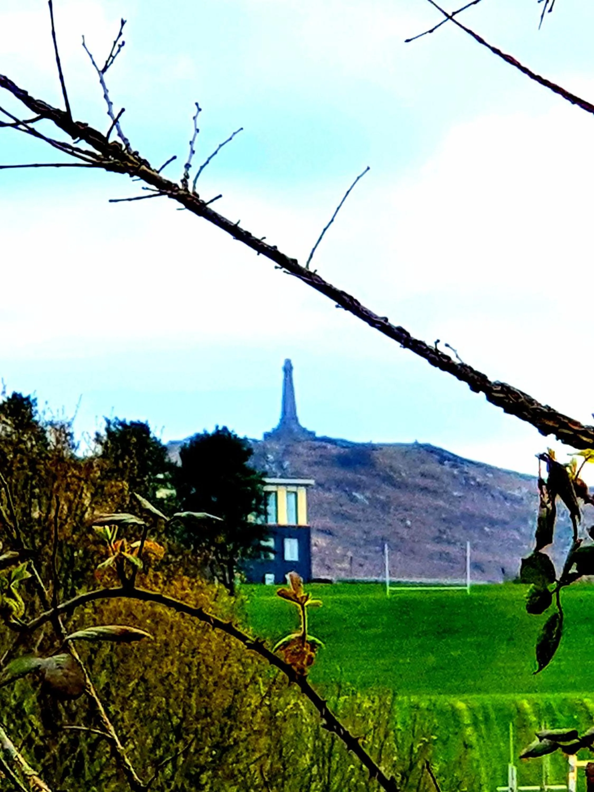 Garden view in Palm Cottage