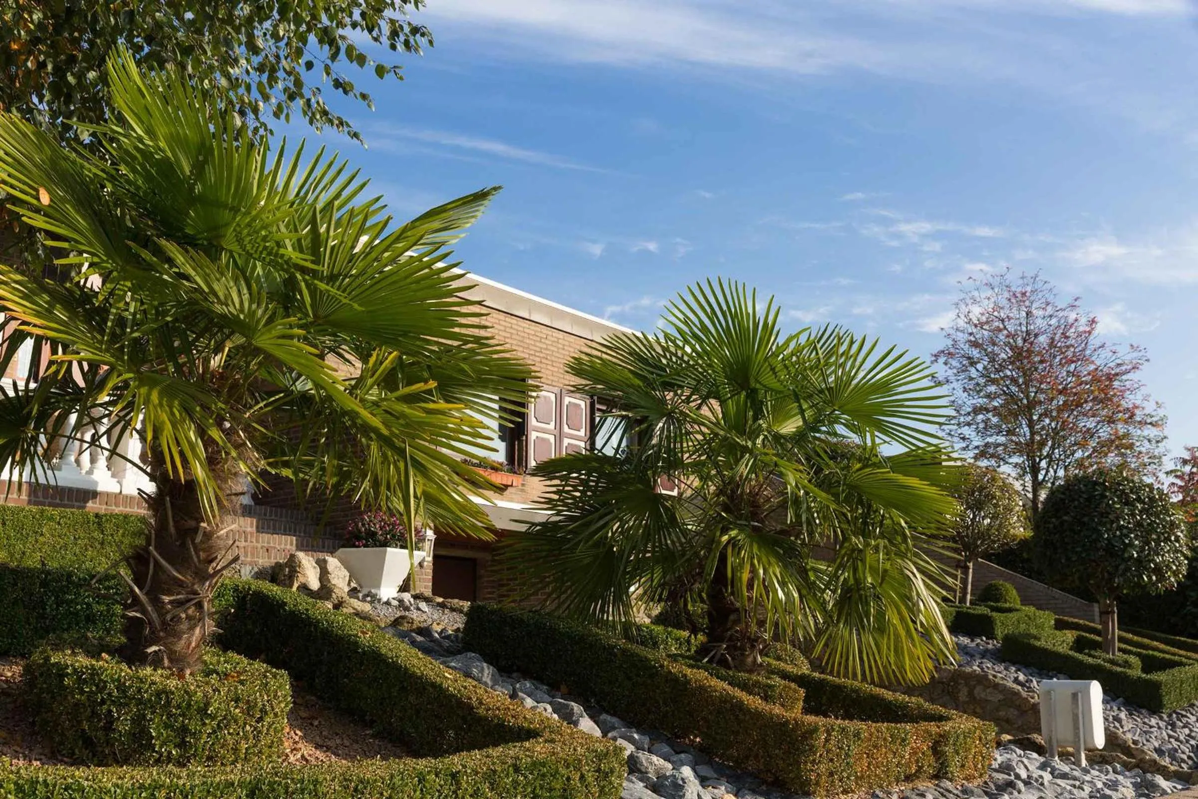 Garden in Baart's Bed and Breakfast