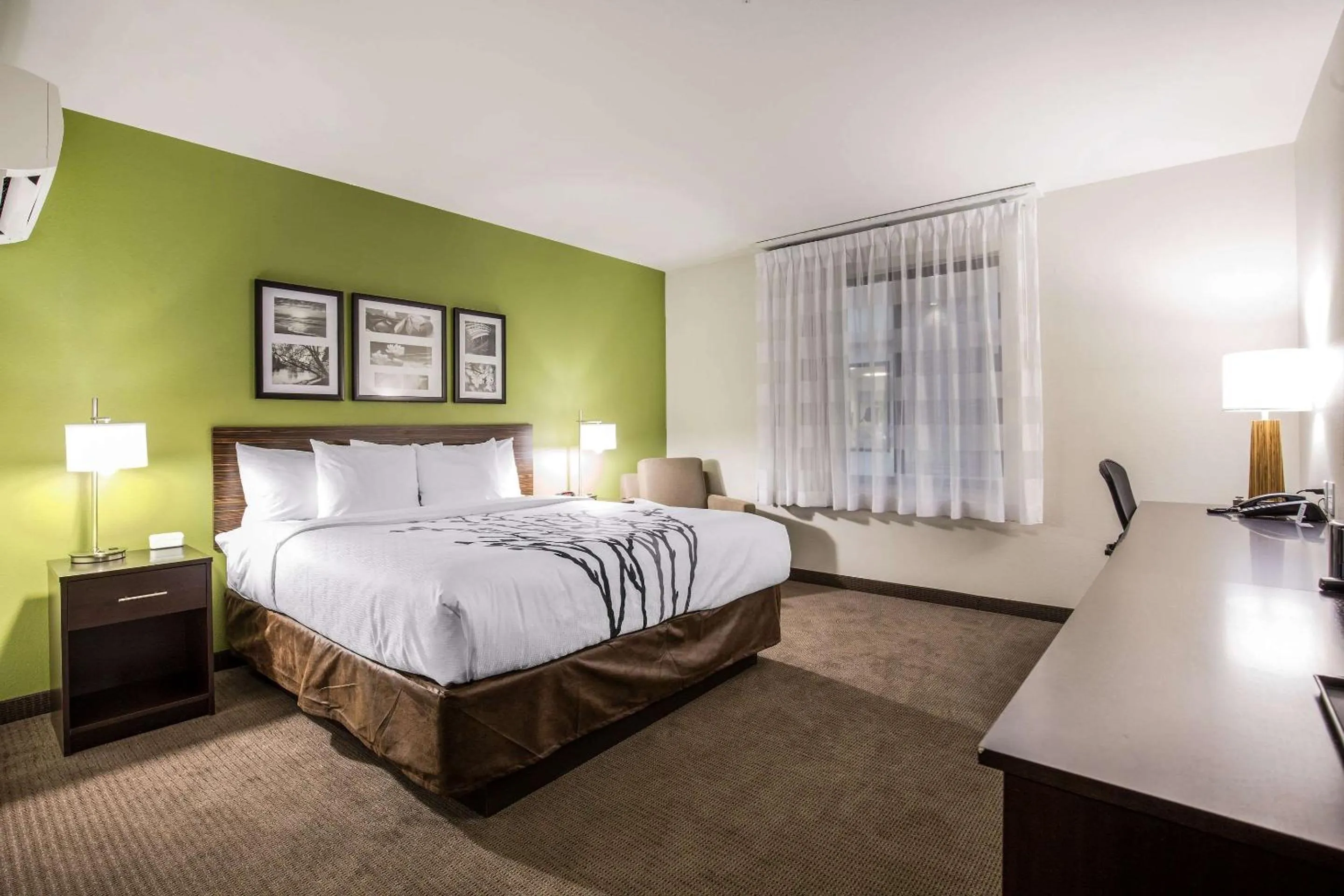 Photo of the whole room, Bed in Sleep Inn Dallas Love Field-Medical District