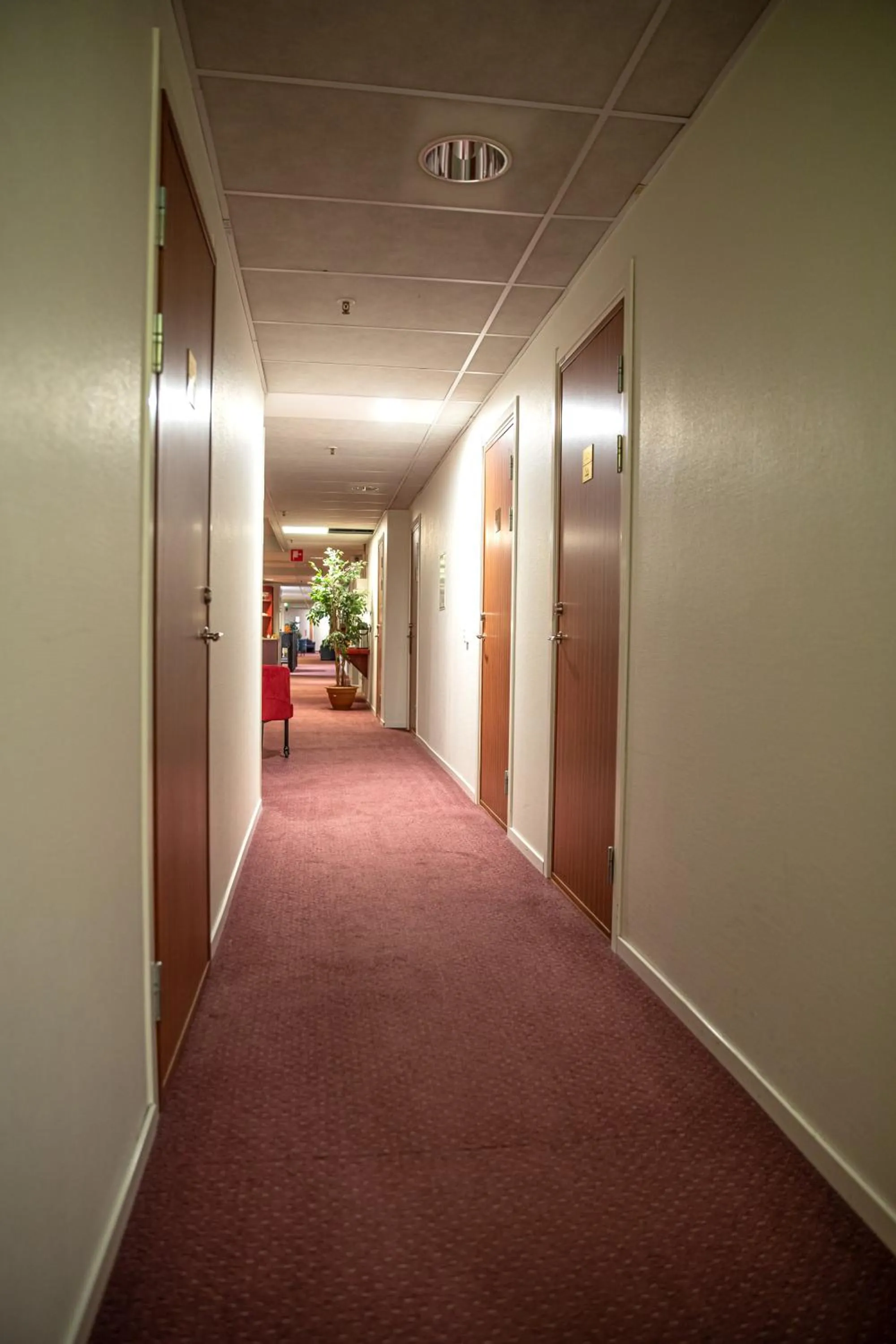 Property building in Hotel Kupolen