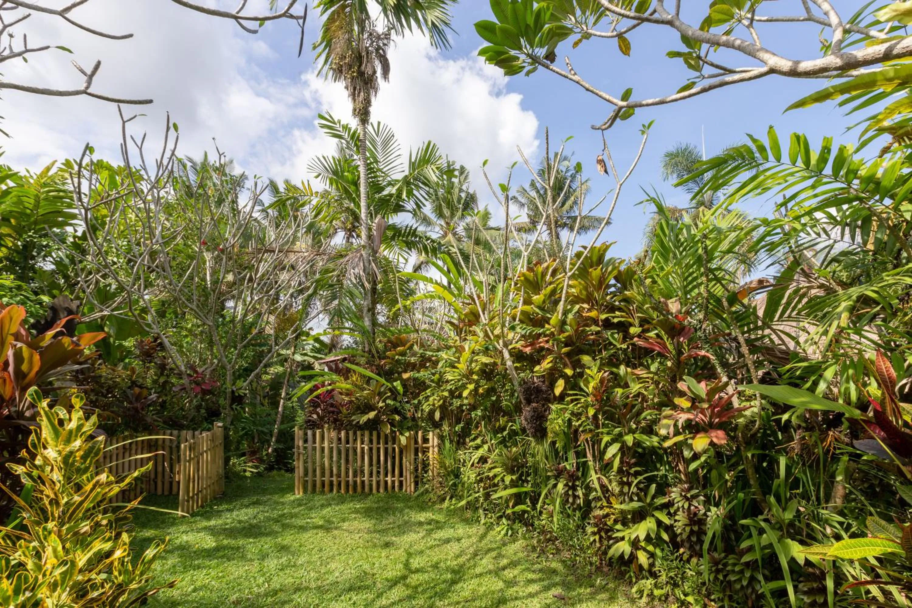 Garden in Bali Firefly BnB