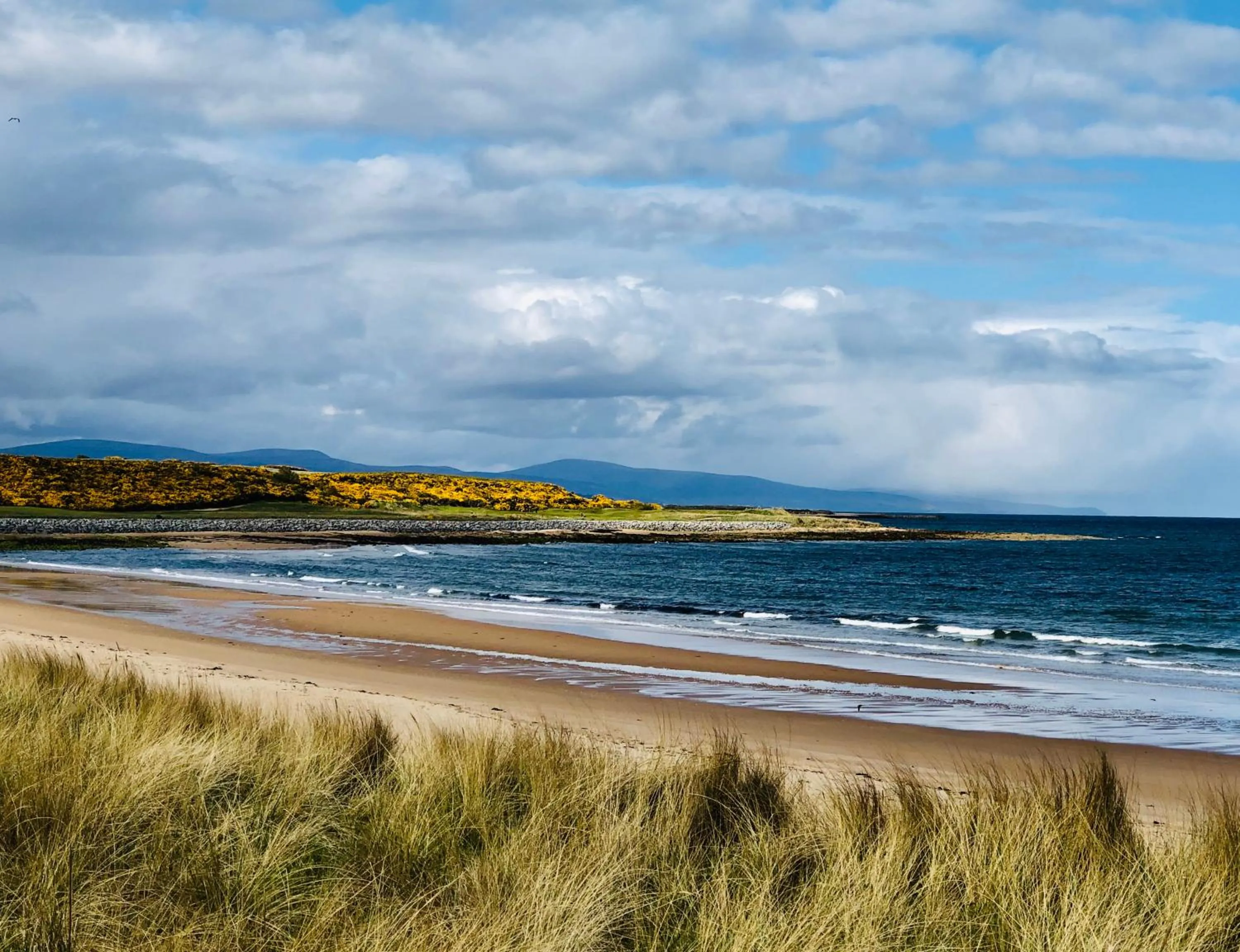 Beach in Albatross B&B Dornoch