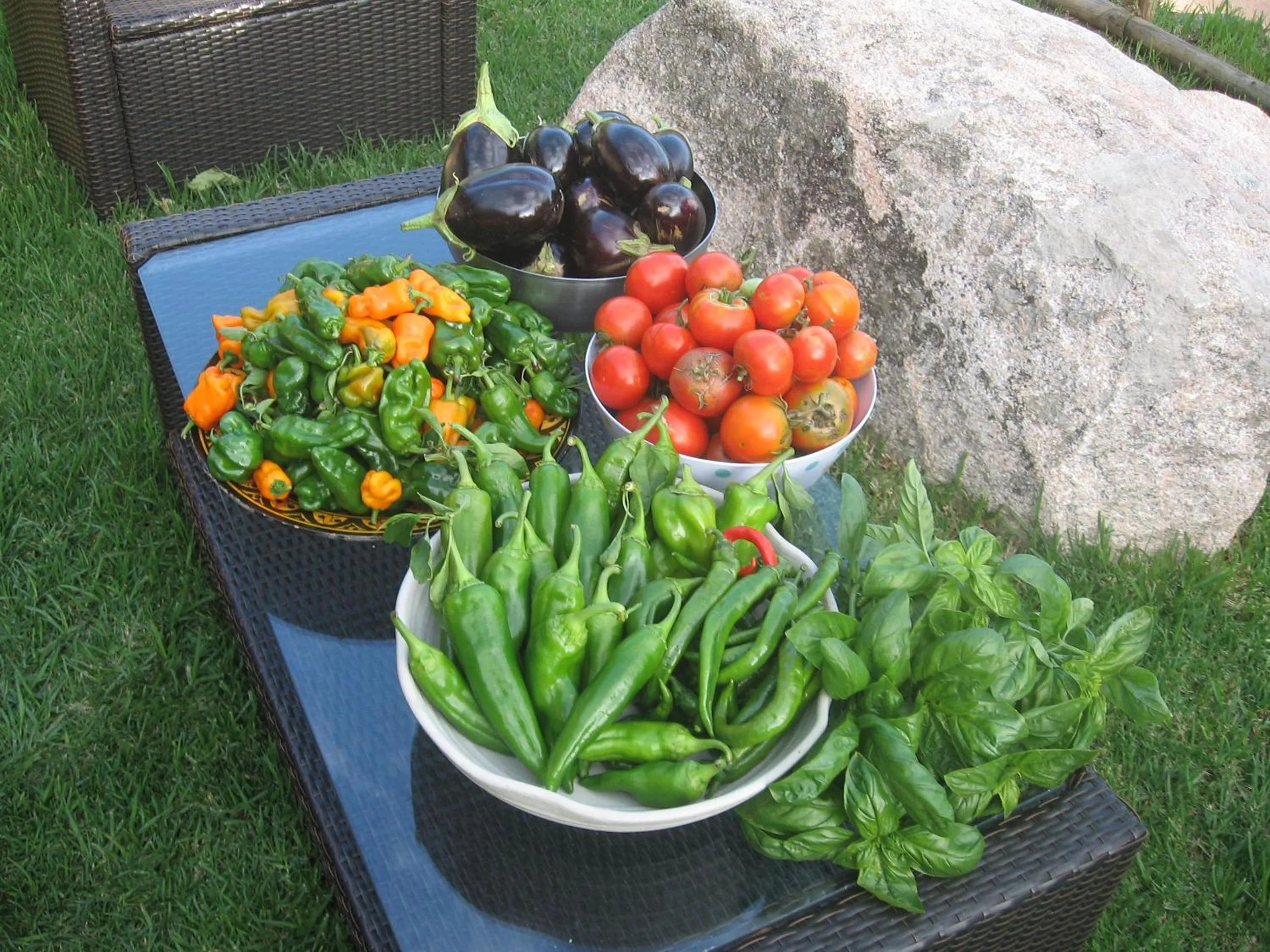 Dinner in Les Jardins de Mathieu
