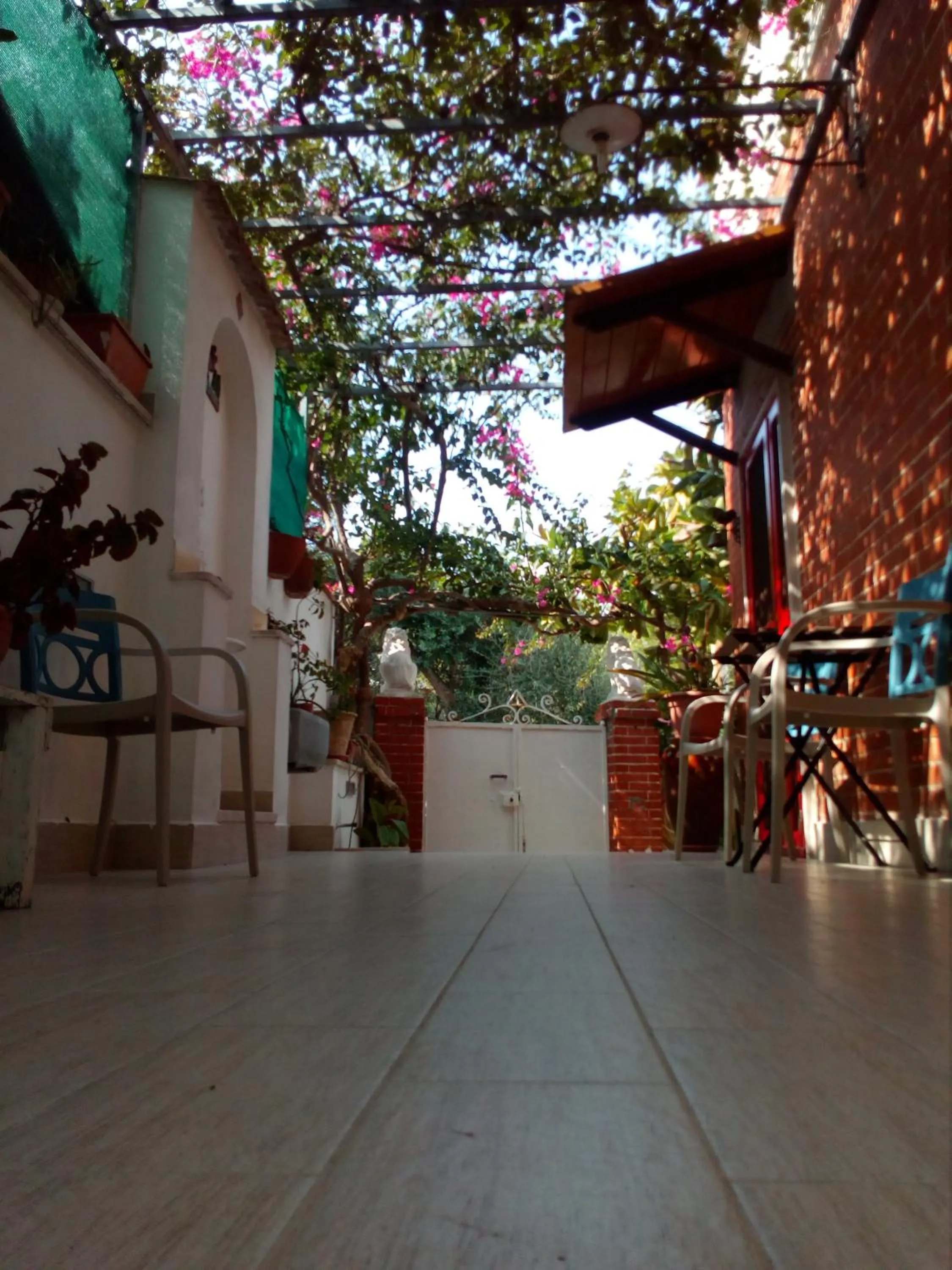 Affittacamere Murgenere