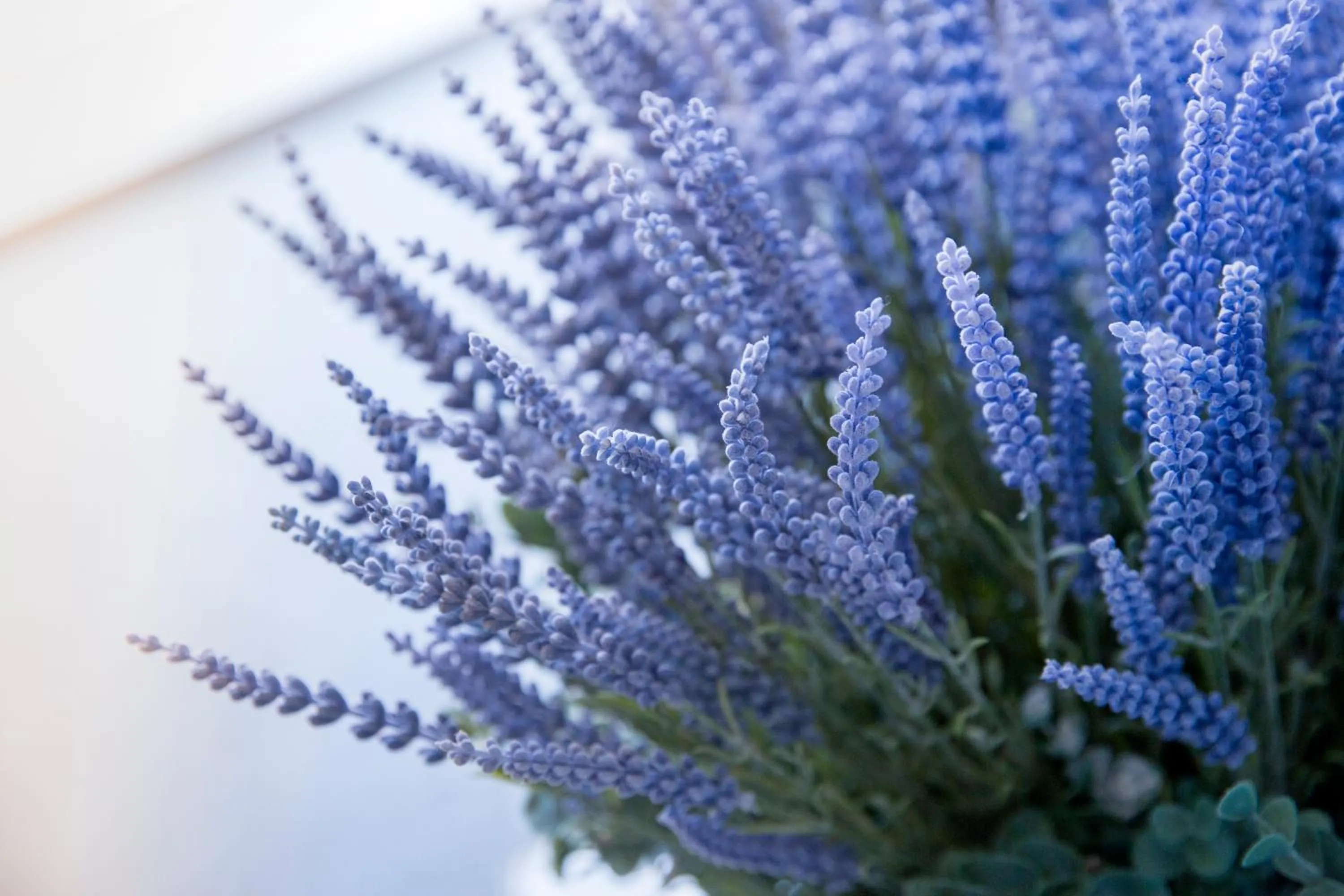 Communal lounge/ TV room in Azzurro B&B