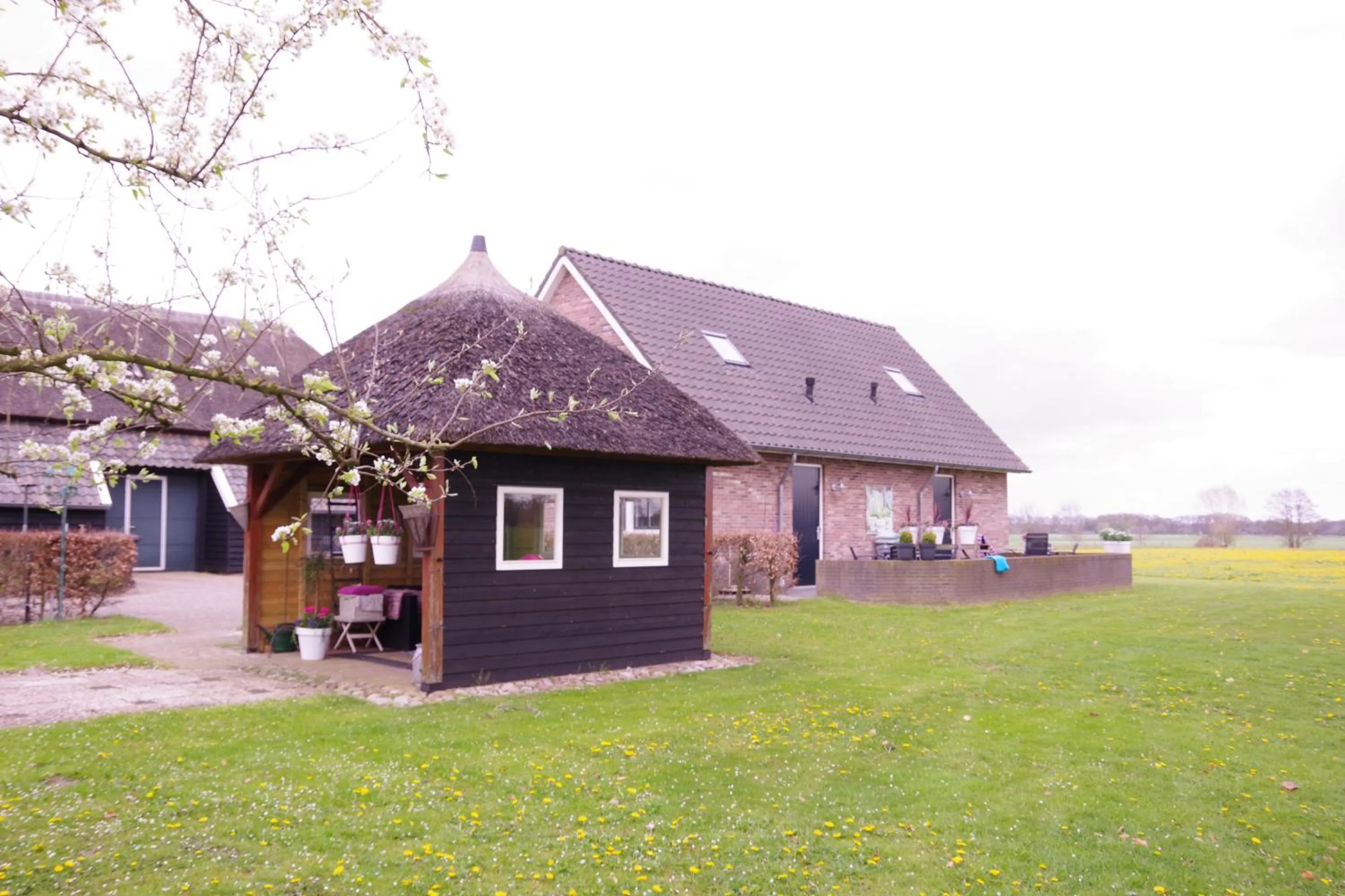 Natural landscape in De Beddestee