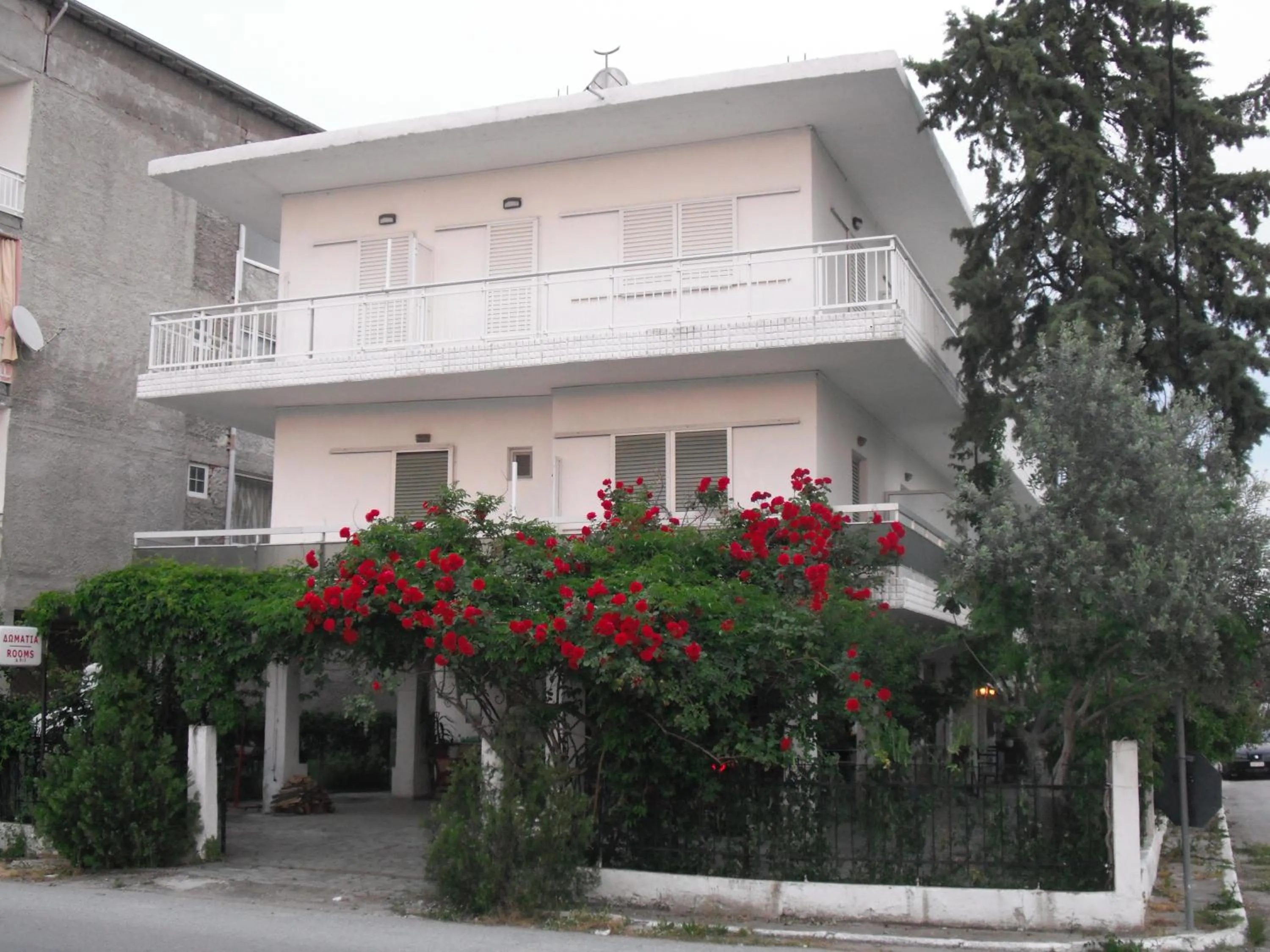 Garden in Aris House