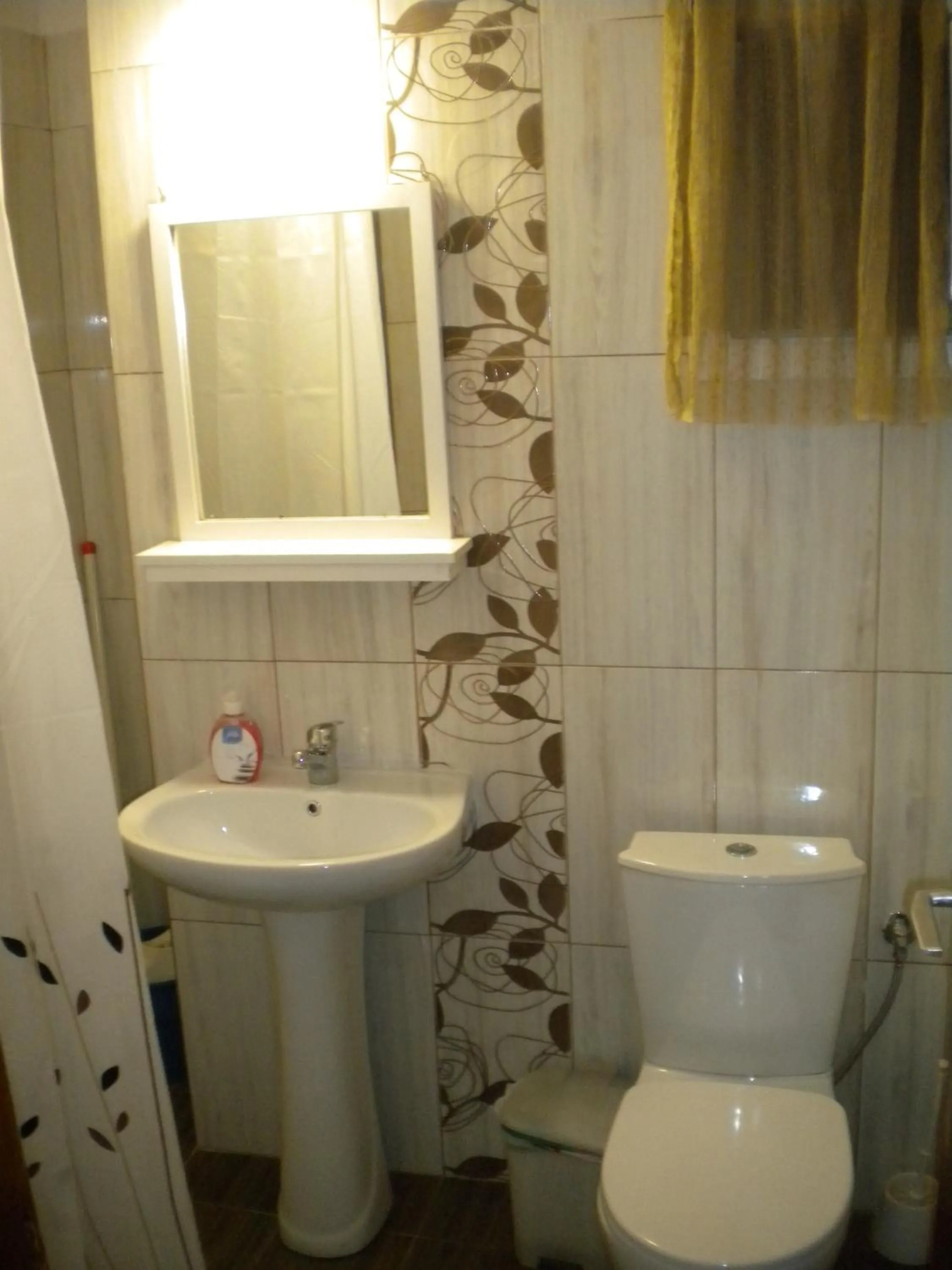 Toilet in Aris House