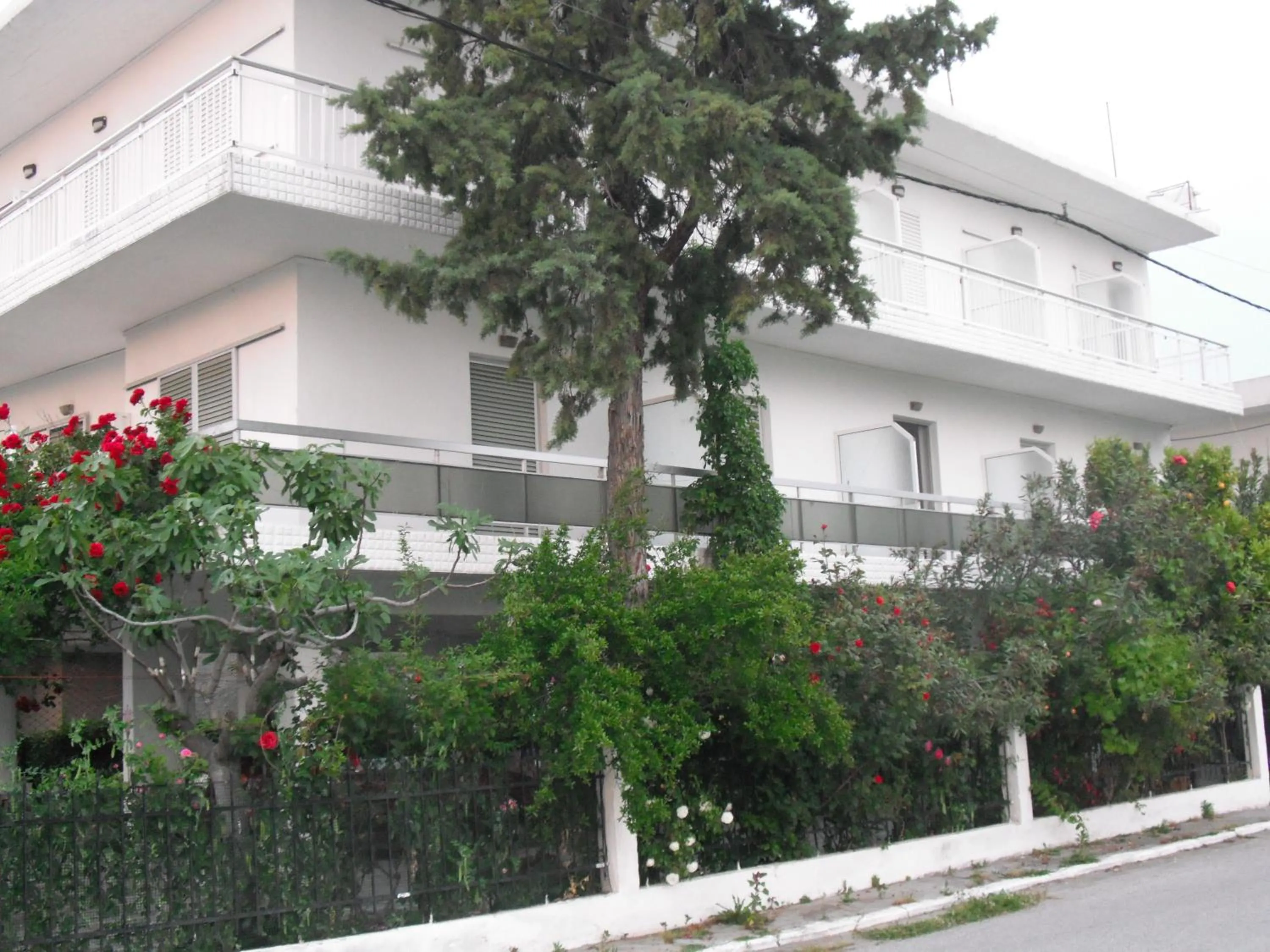 Property building in Aris House