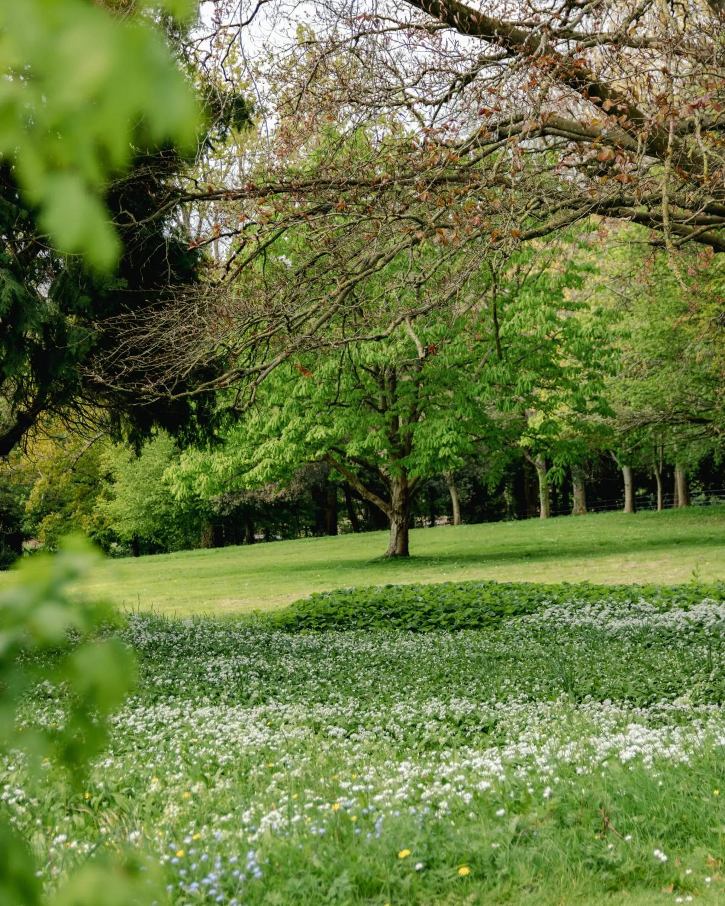 Garden in Bailbrook House Hotel, Bath