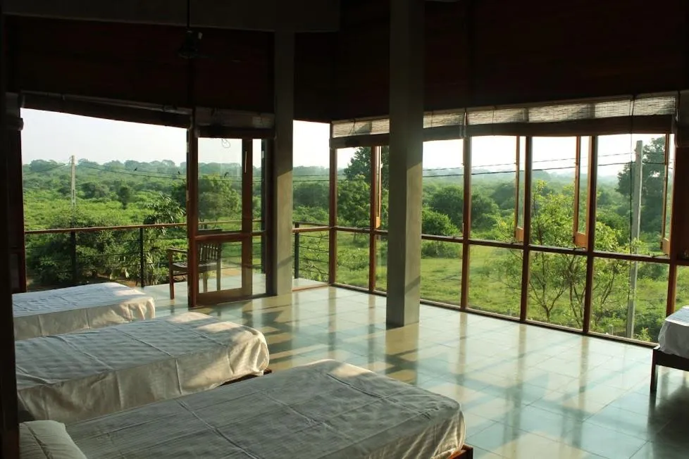 Bedroom, Bed in Tree Tops Yala