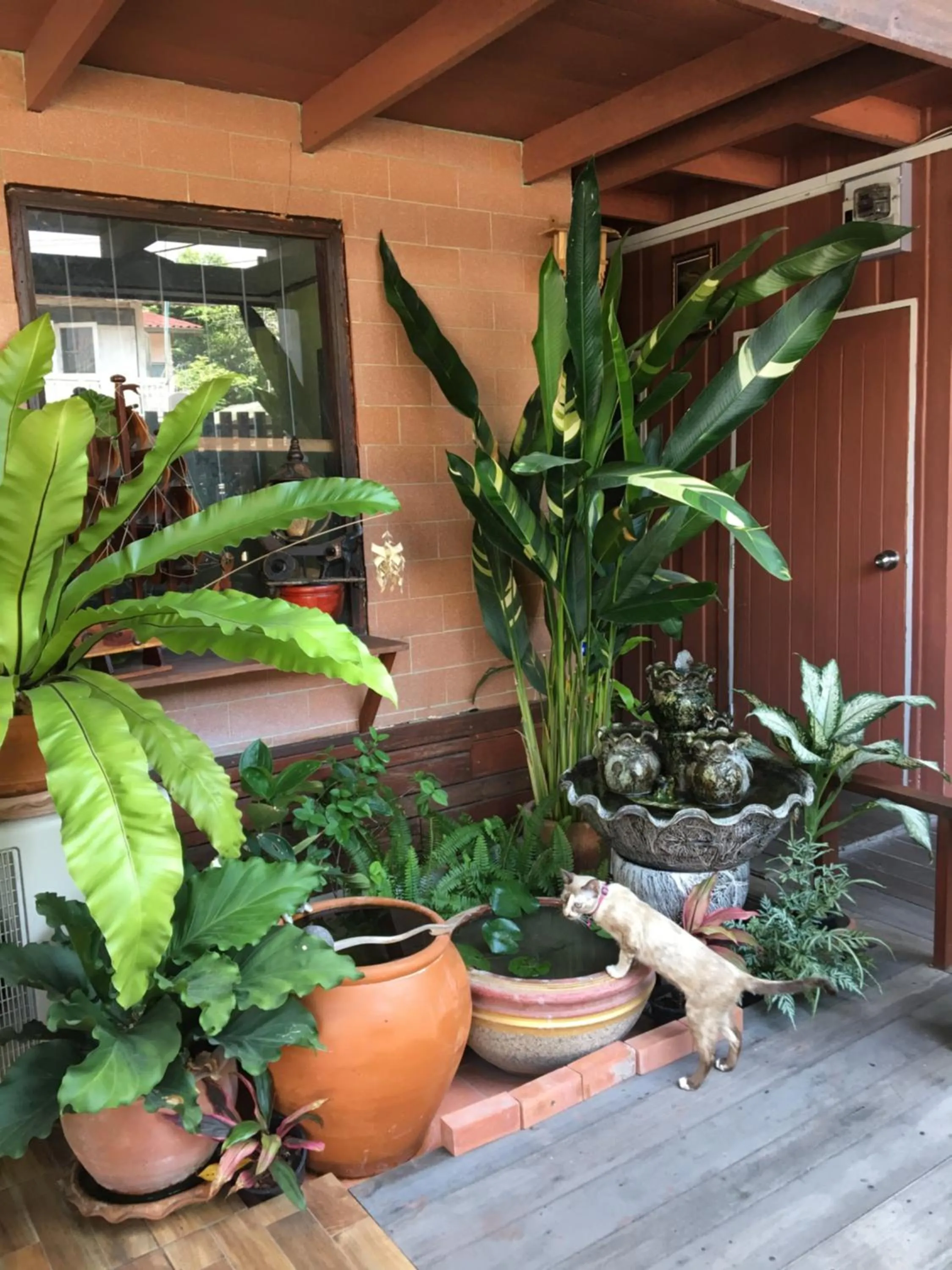 Baan Khun ya Ayutthaya