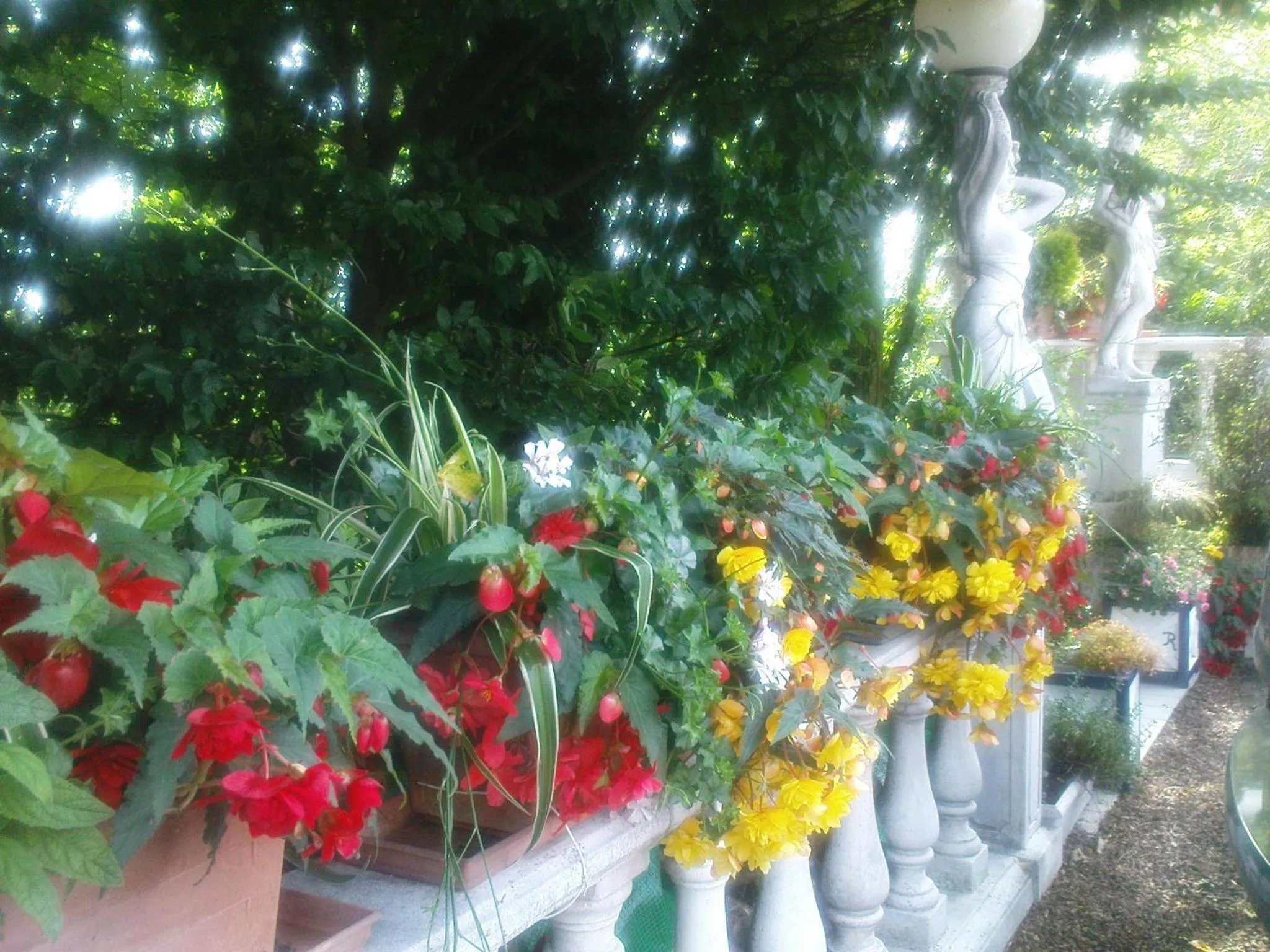 Garden in Chateau La Tour Du Roy