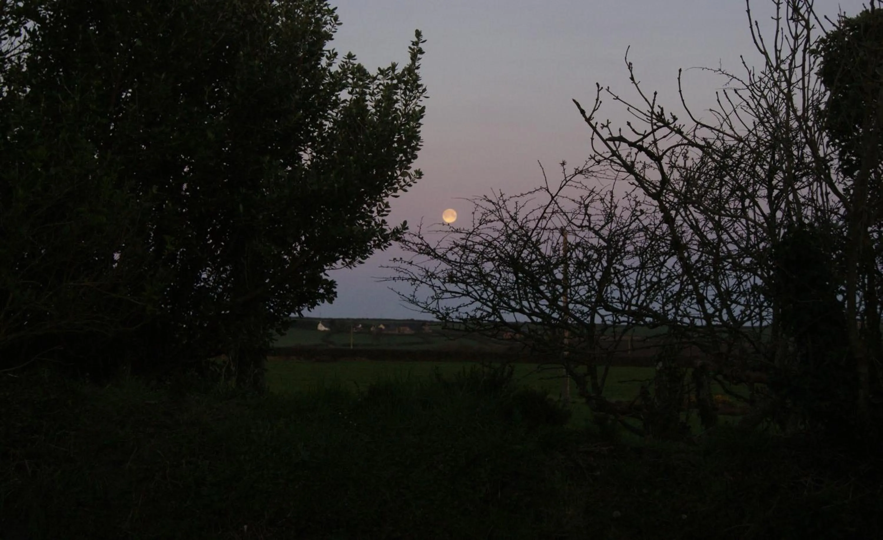 Other in The Old Smithy Bed & Breakfast