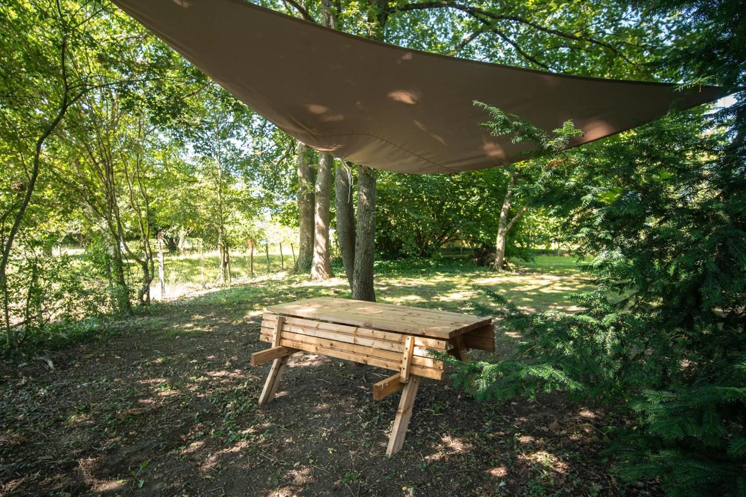 Garden in Le Clos de La Rousselière B and B