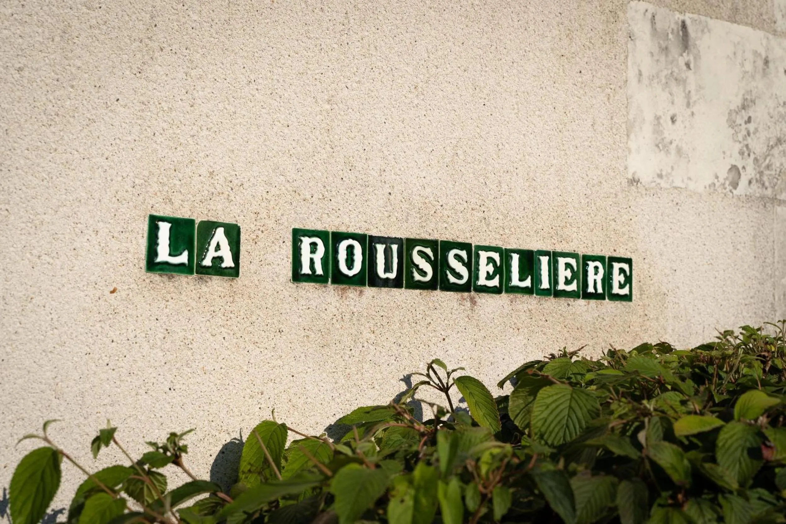 Garden in Le Clos de La Rousselière B and B