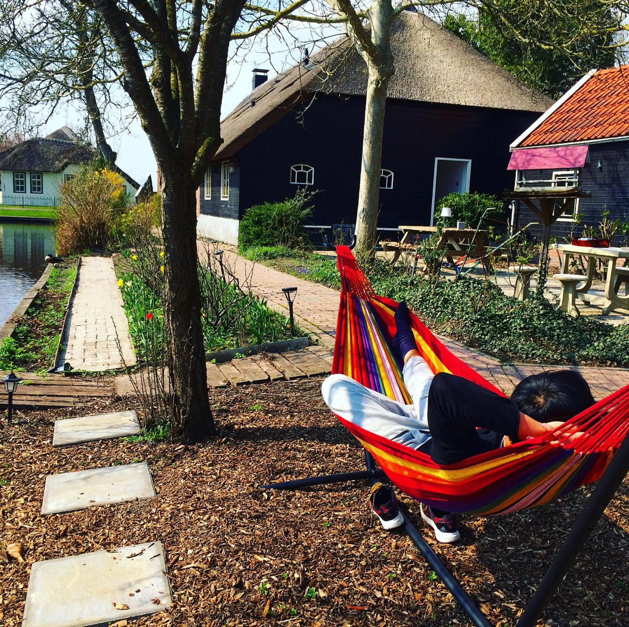 Garden in The Black Sheep Hostel