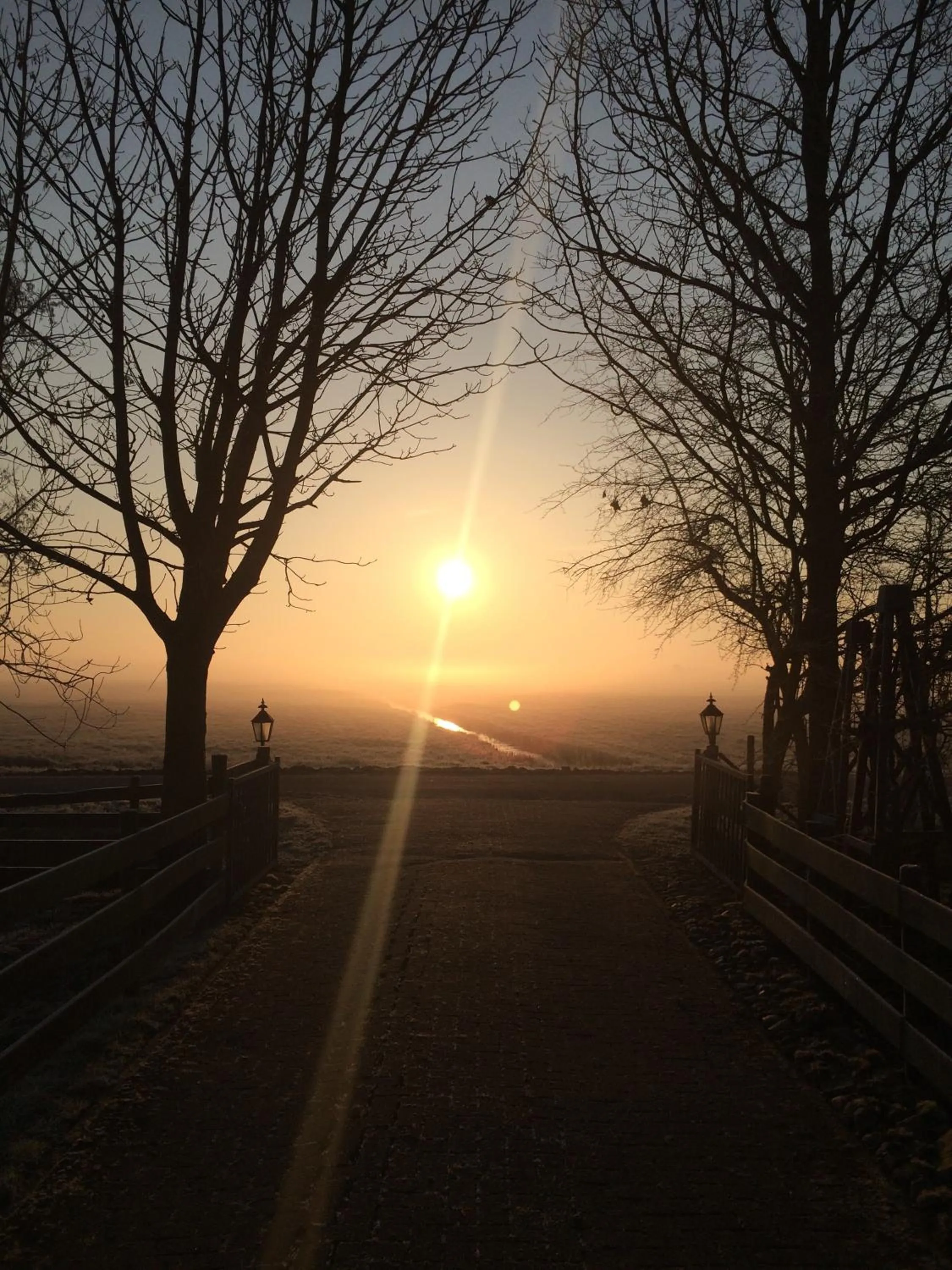 Natural landscape in The Black Sheep Hostel