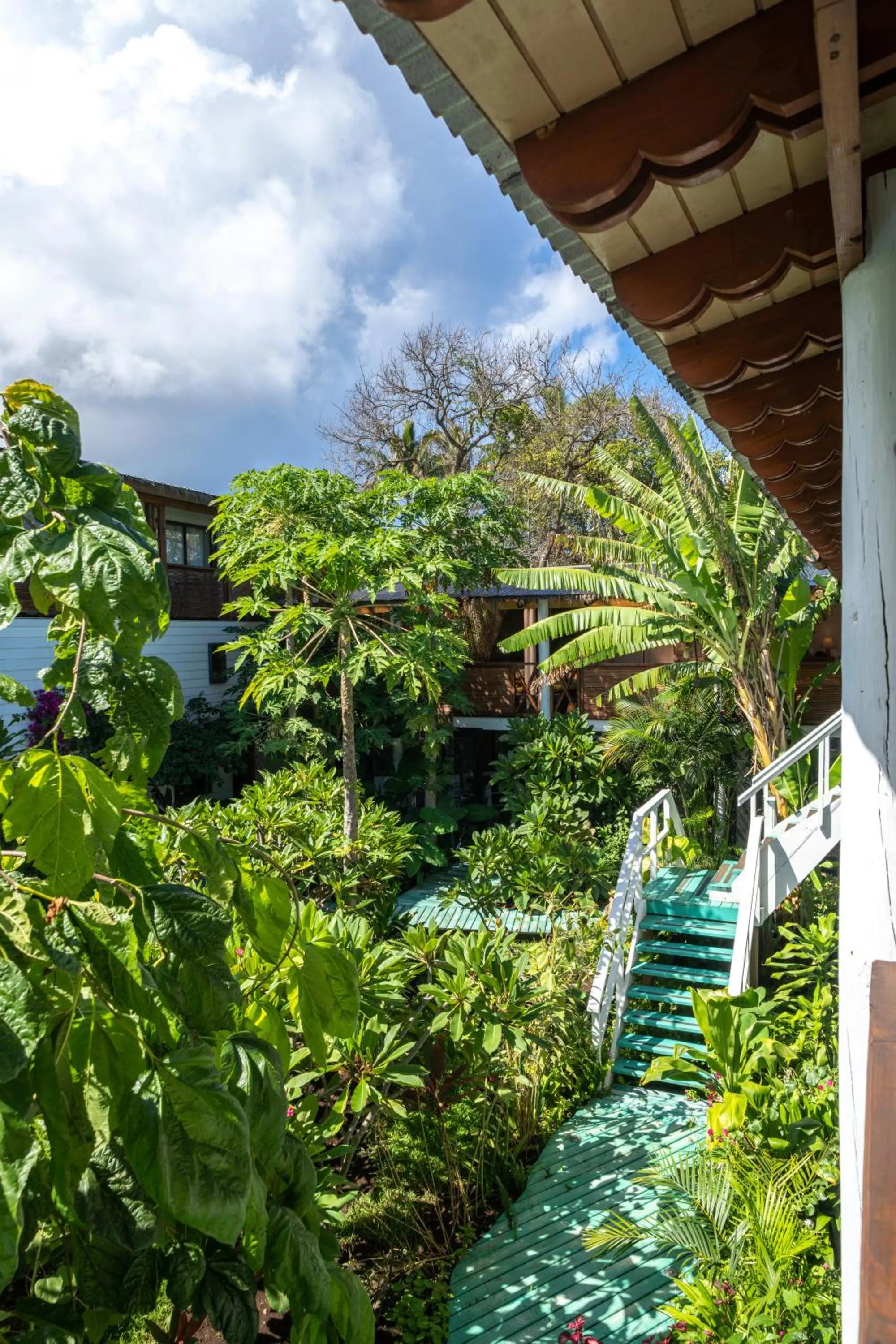 View (from property/room) in Hare Nua Hotel Boutique