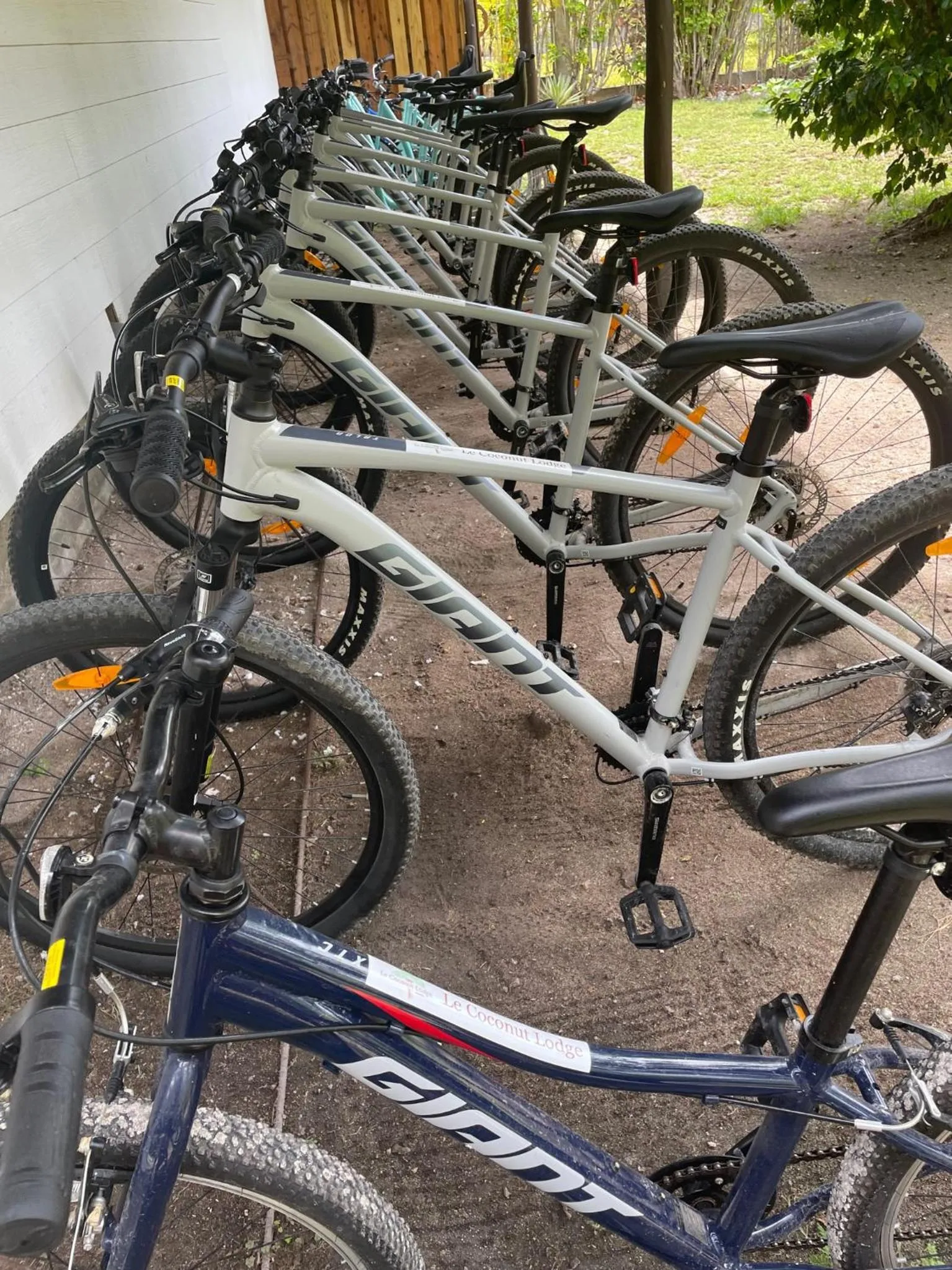 Cycling in Le Coconut Lodge