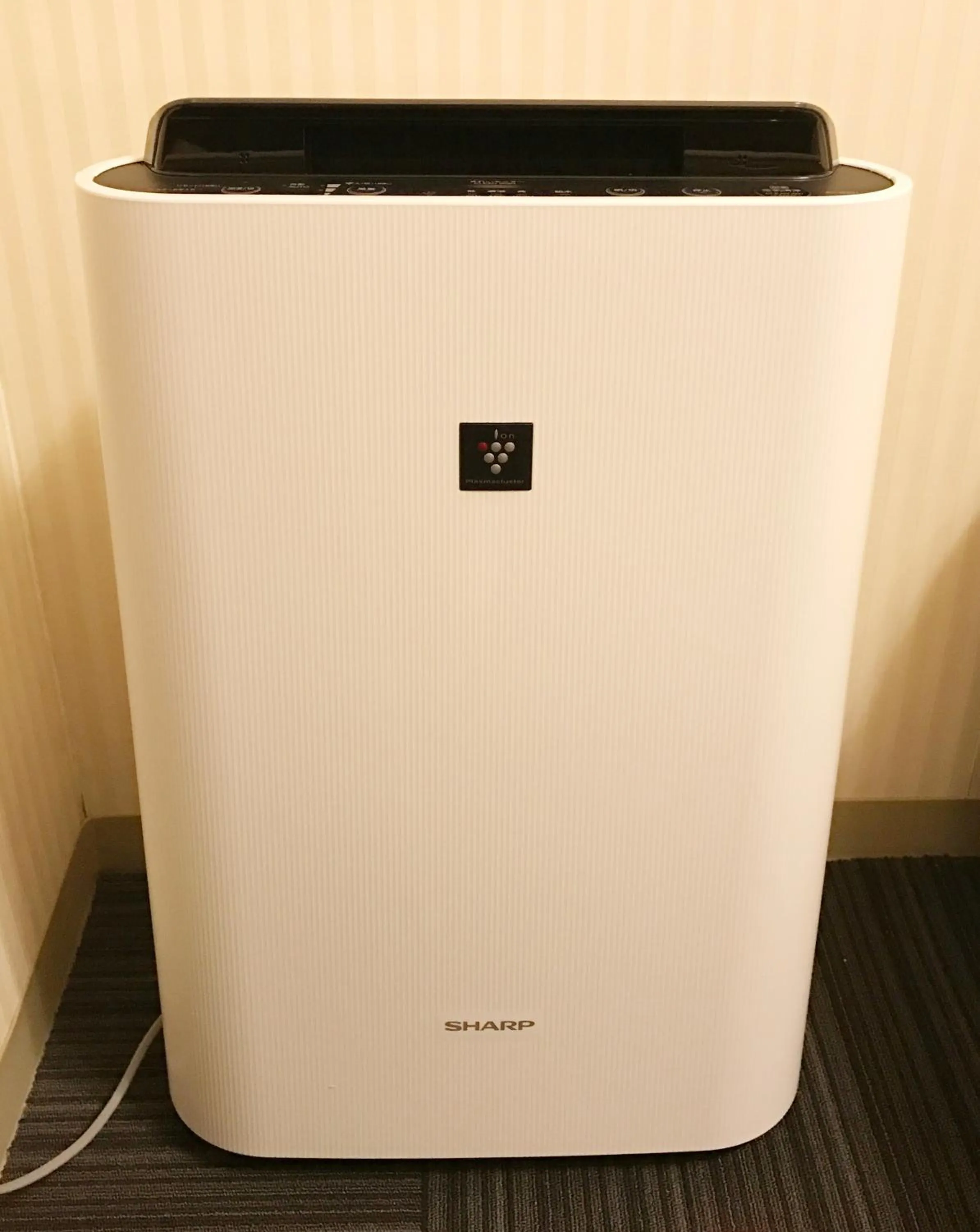 Other in Kiryu Ace Hotel