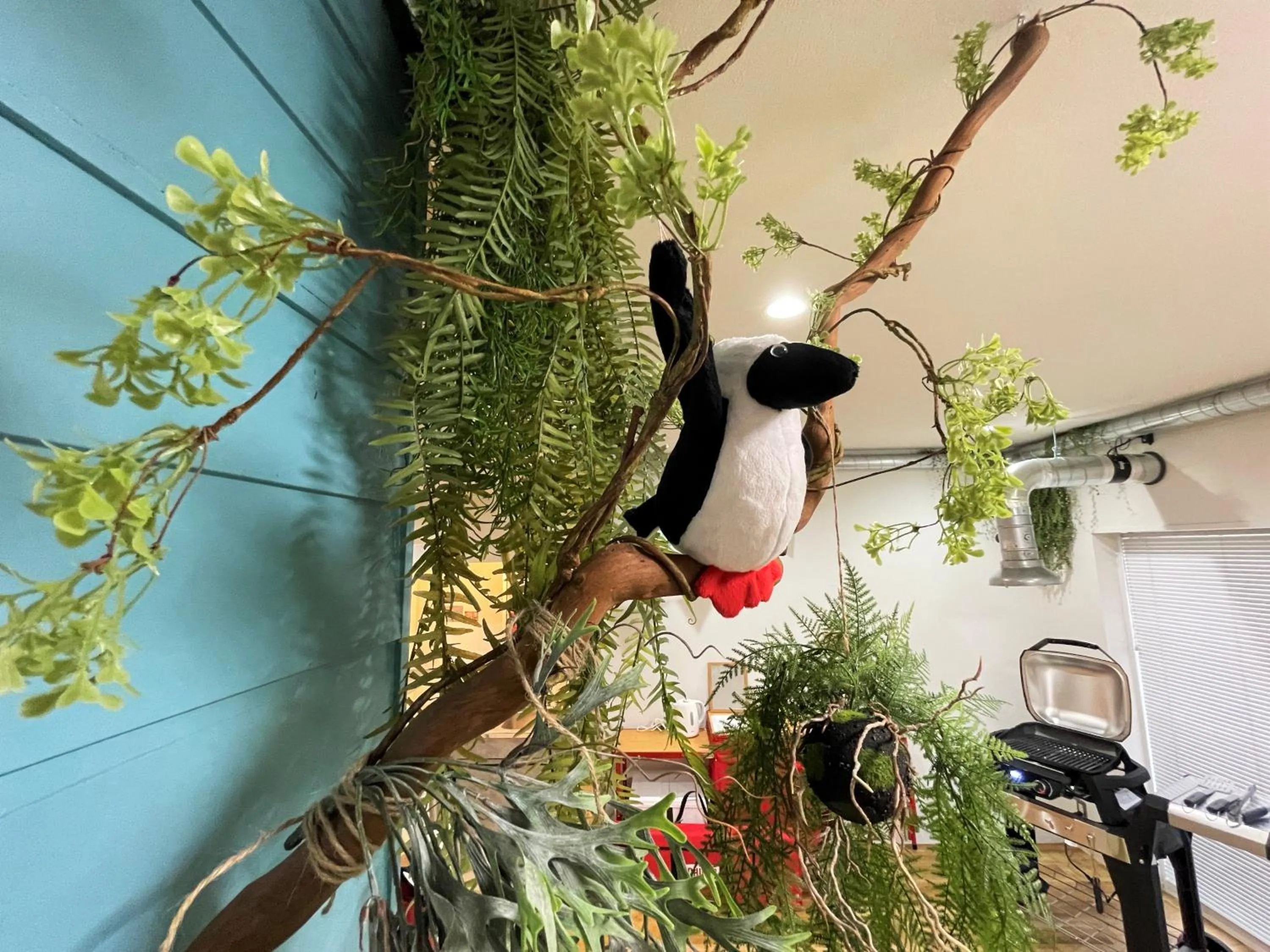 Photo of the whole room in 365BASE outdoor hostel