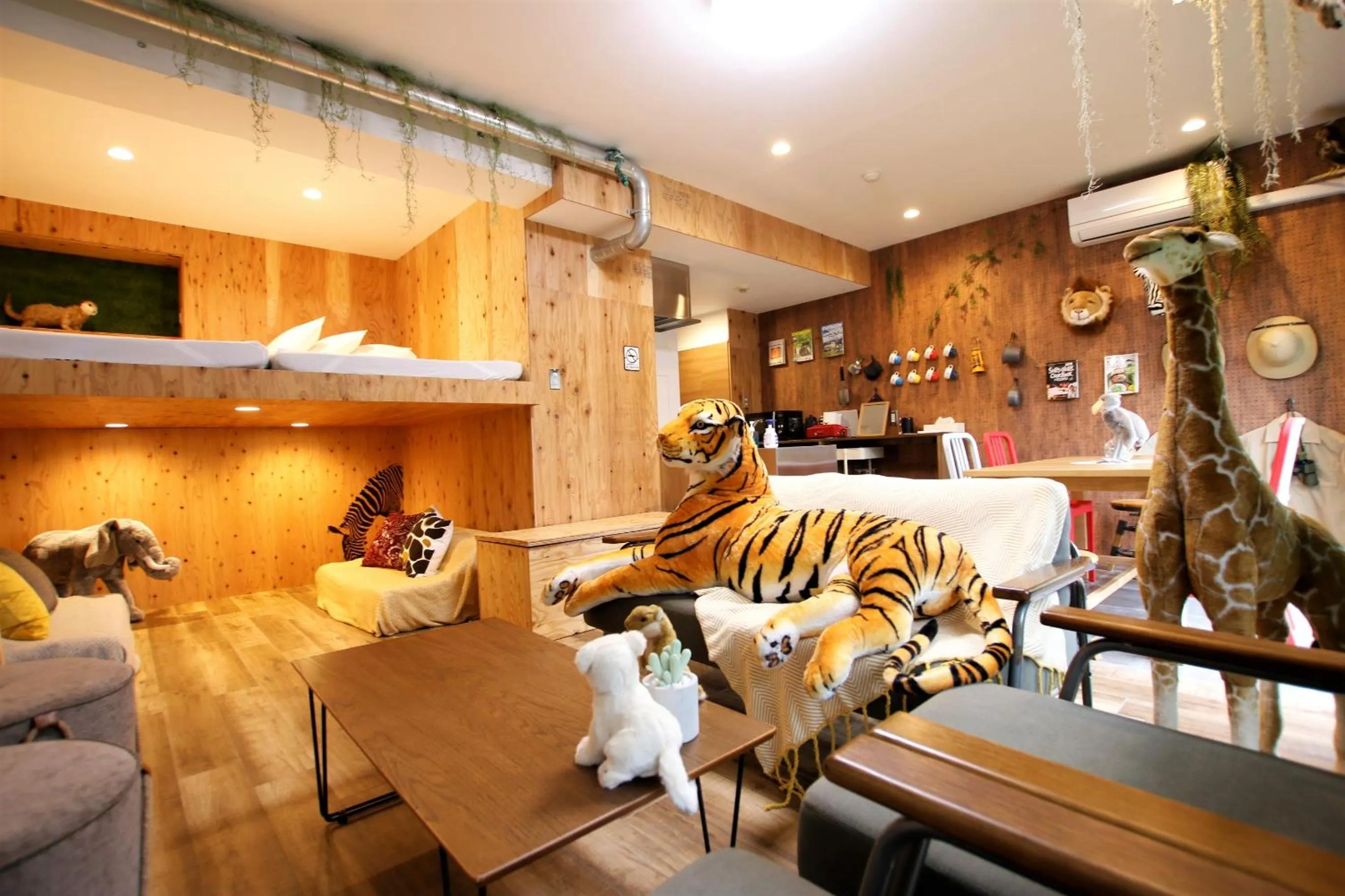 Photo of the whole room in 365BASE outdoor hostel