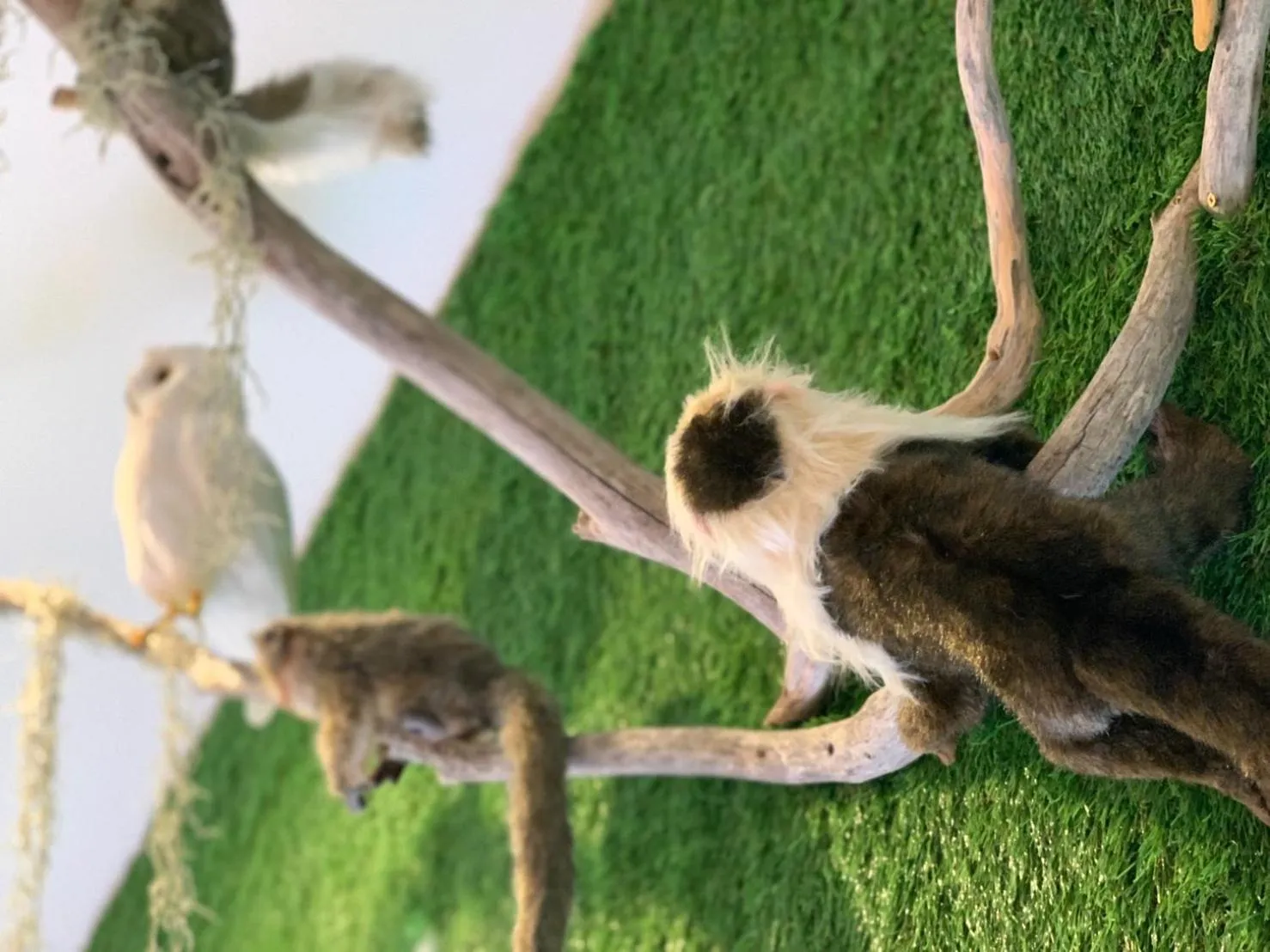 Decorative detail in 365BASE outdoor hostel