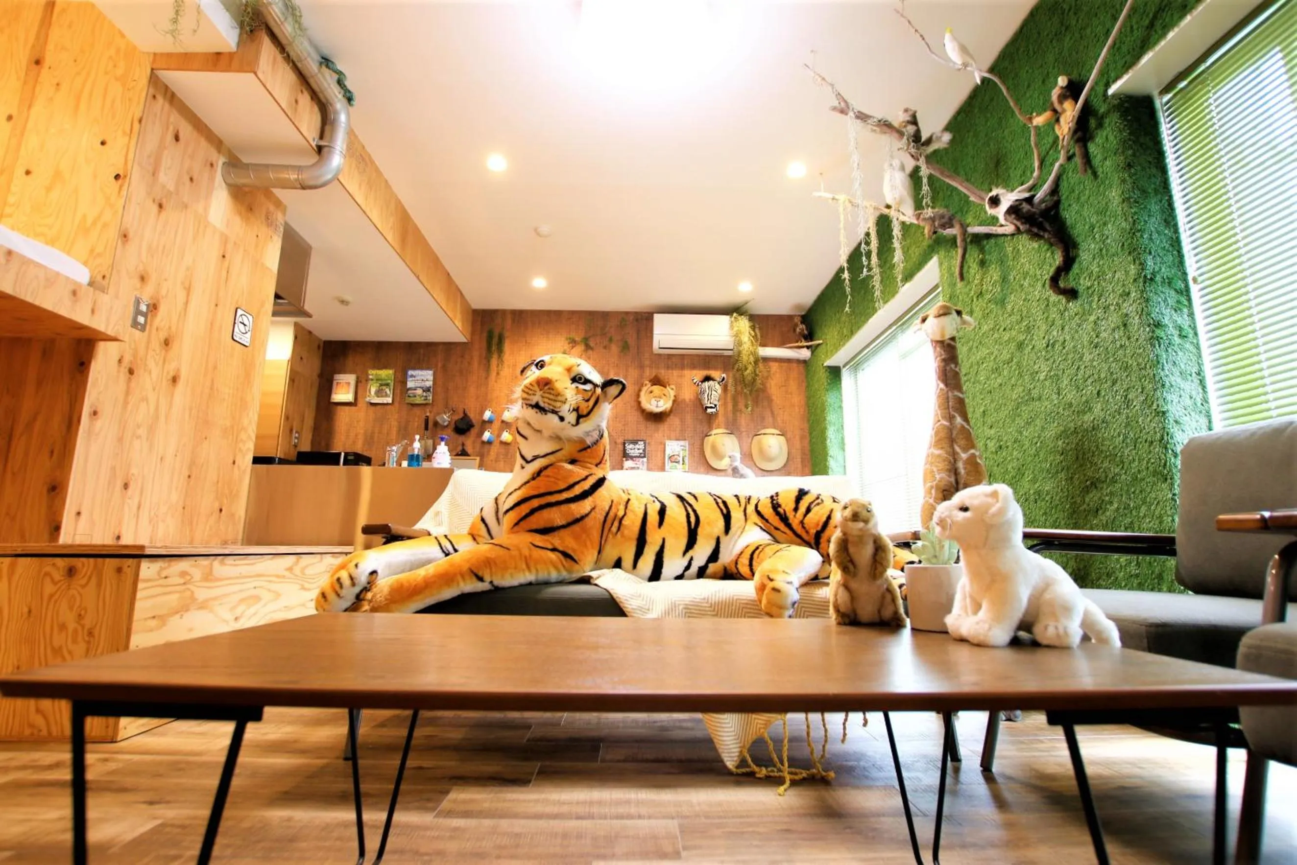 Photo of the whole room in 365BASE outdoor hostel