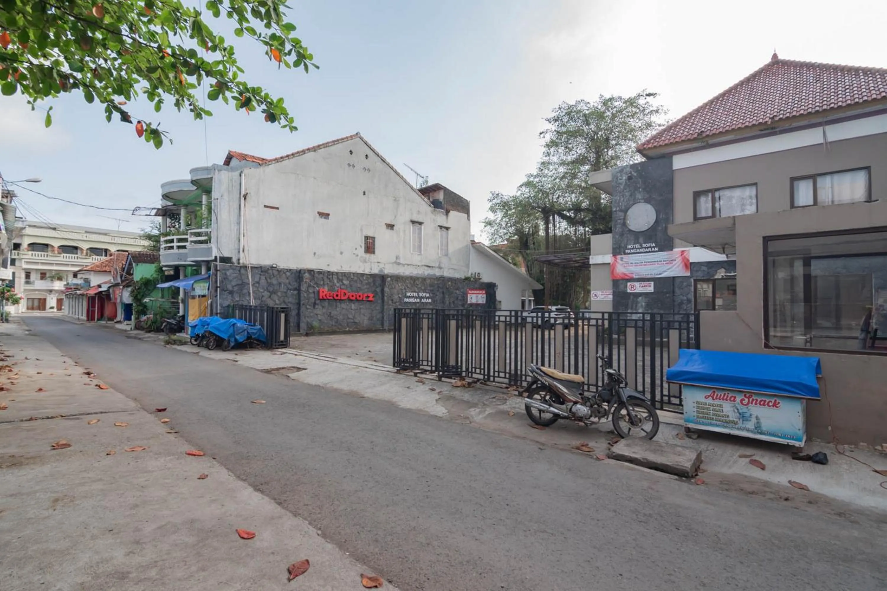 RedDoorz Plus At Hotel Sofia Pangandaran