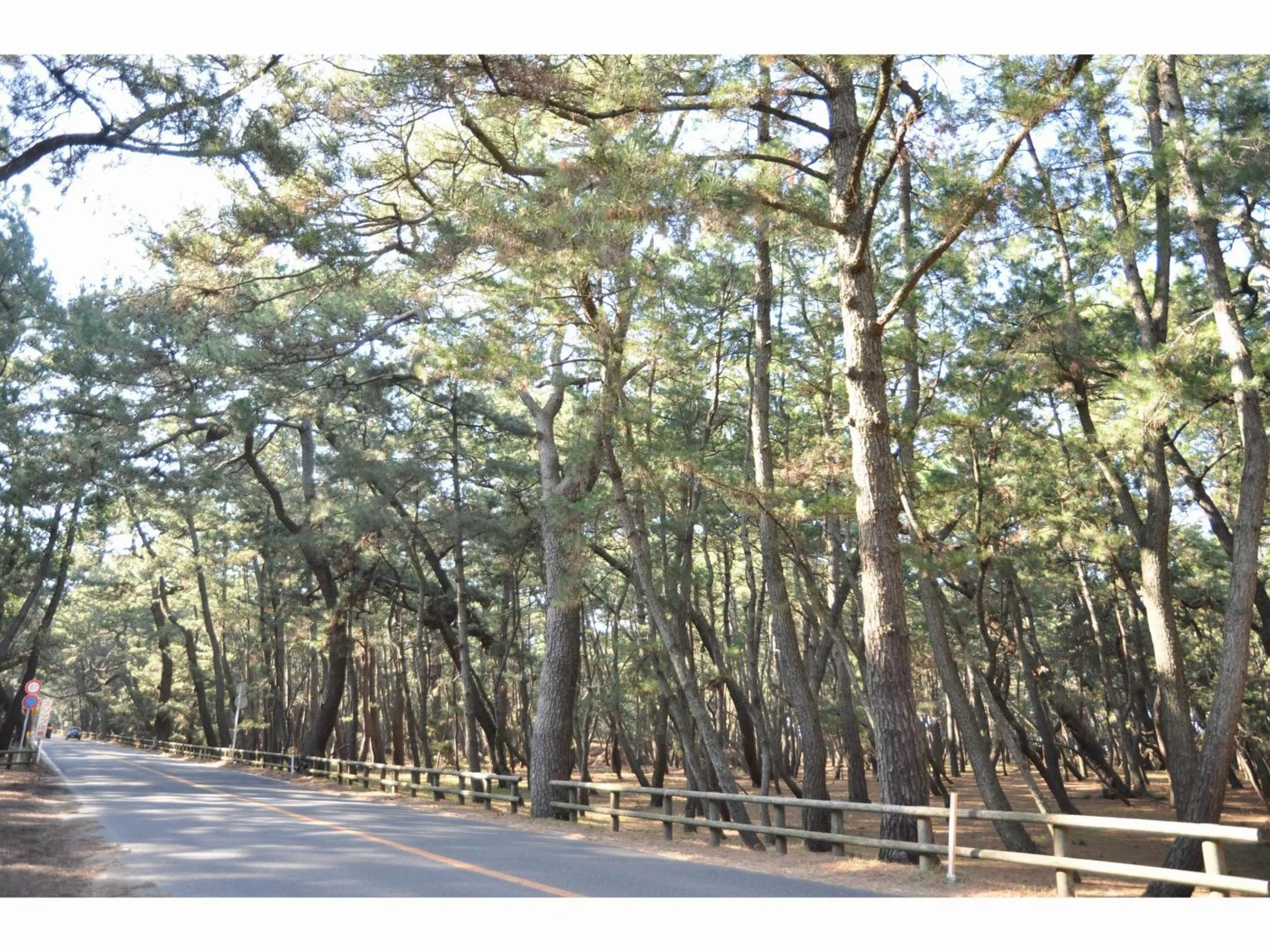 Nearby landmark in Riverside Hotel Karatsu Castle