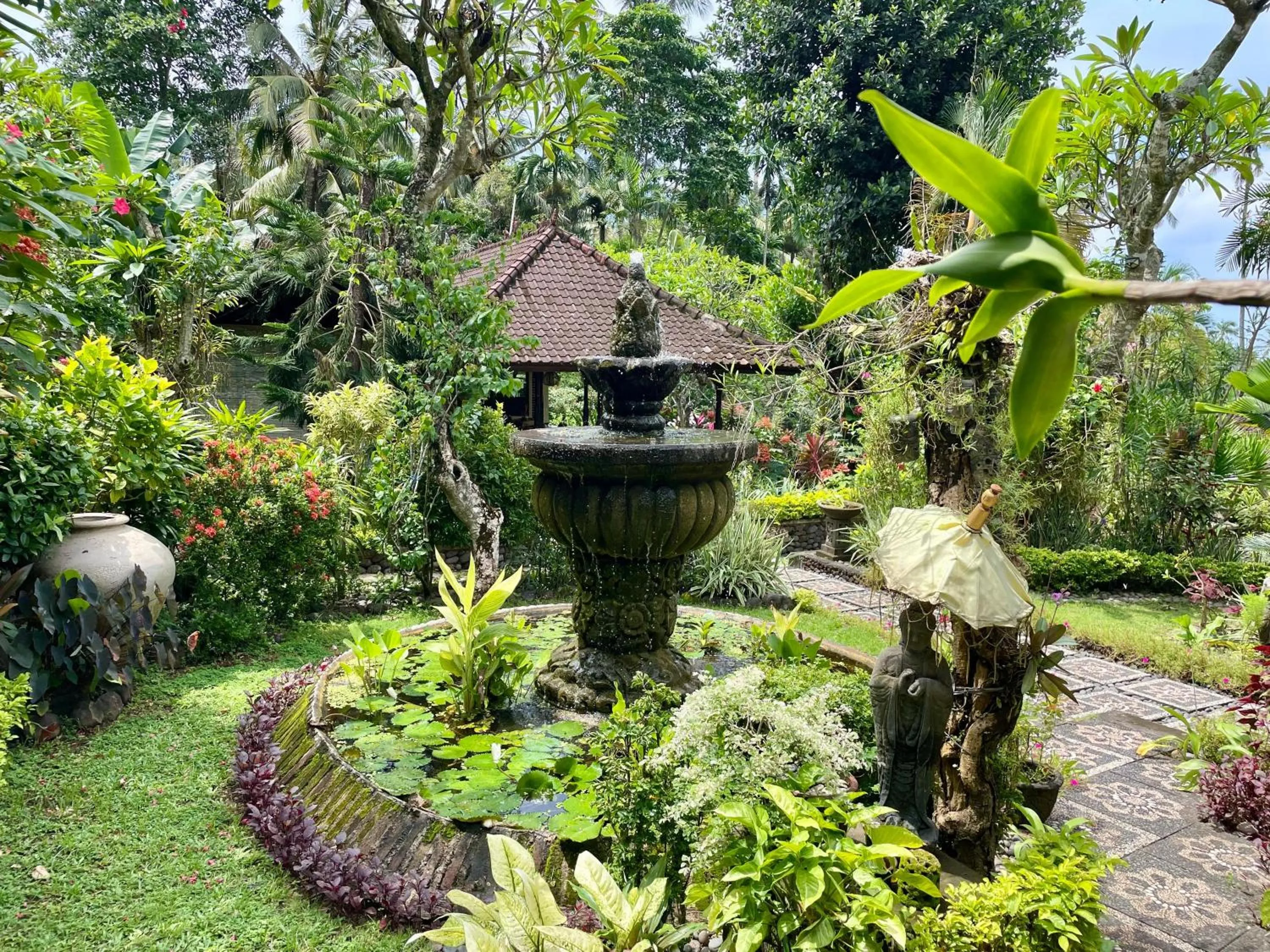 Spring in Dasa Wana - DW Jungle Resort - Candidasa