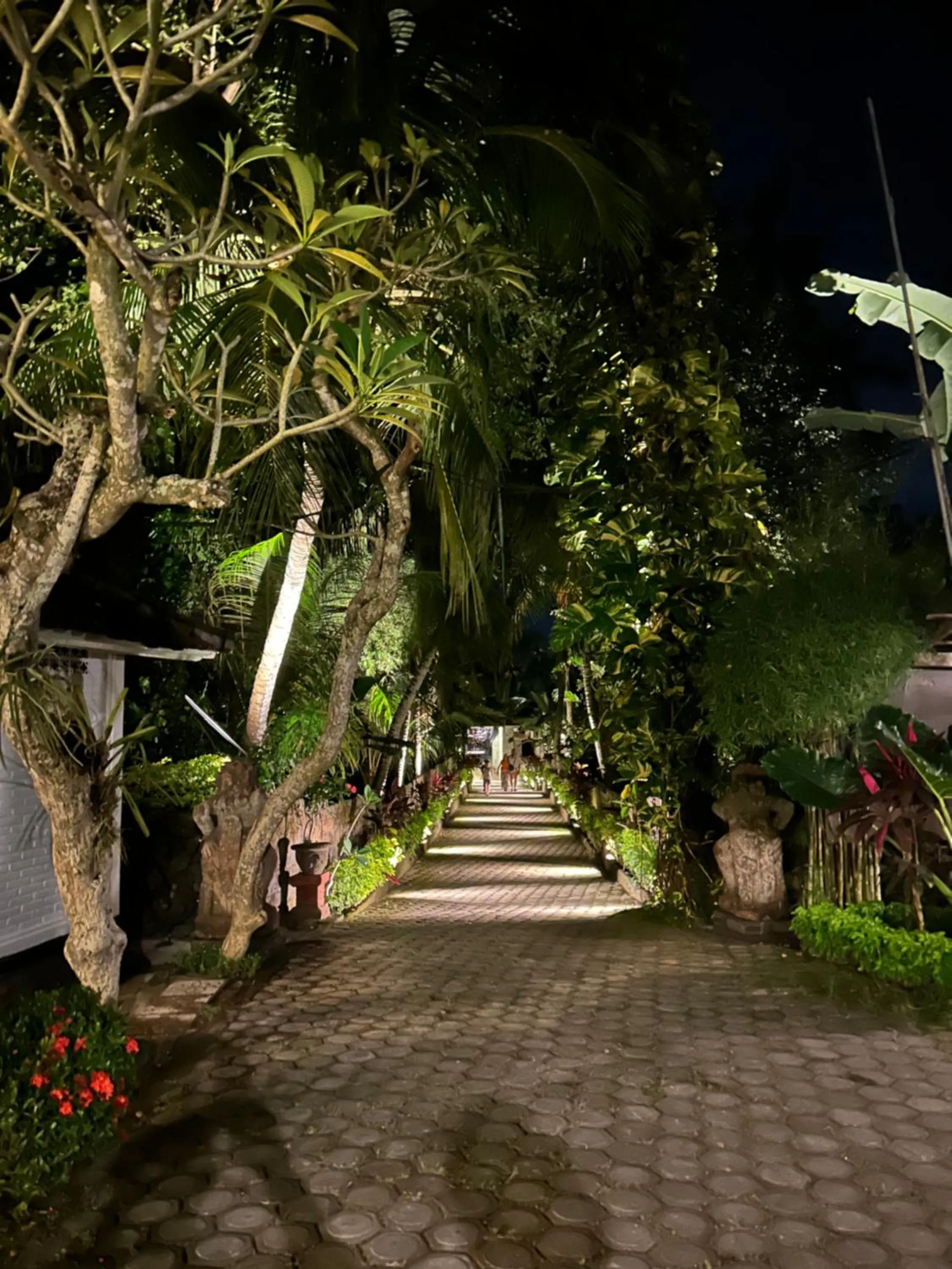 Natural landscape in Dasa Wana - DW Jungle Resort - Candidasa