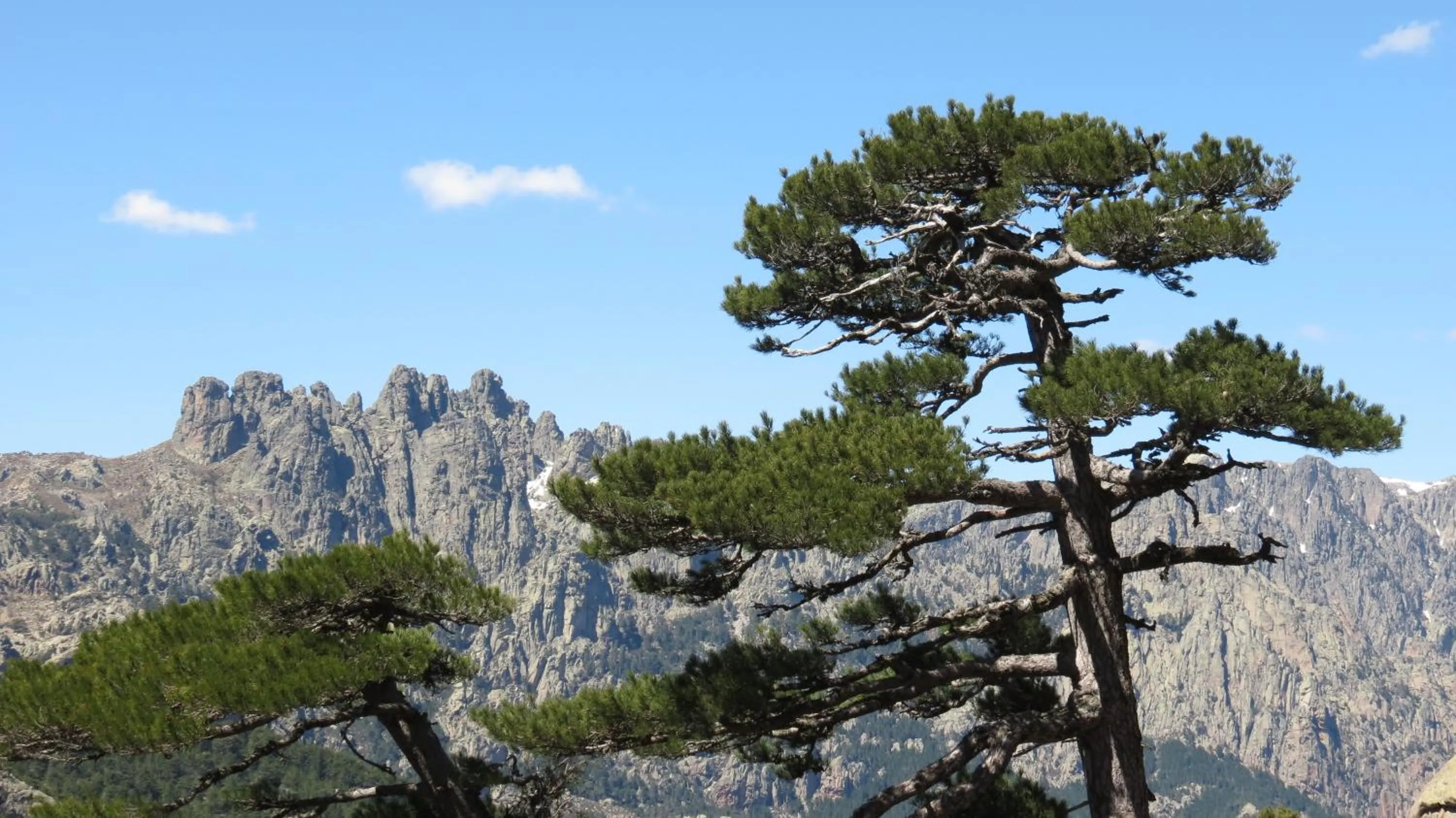 Nearby landmark in Sole E Monti